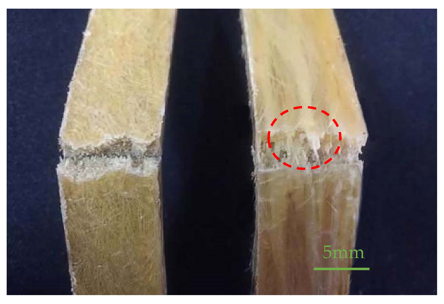 Polymers 13 01124 g007 Polymers 13 01124 g007