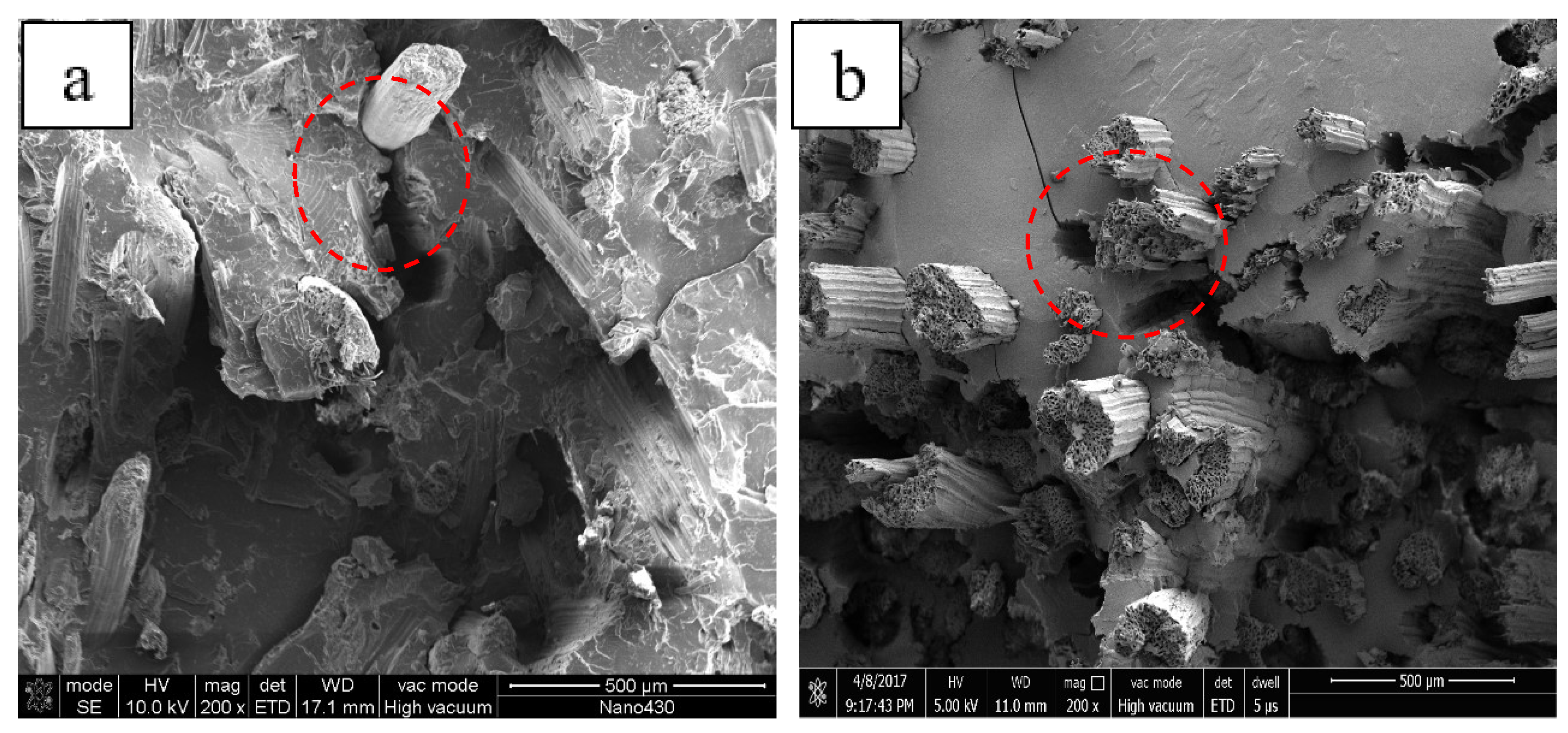 Polymers 13 01124 g010 Polymers 13 01124 g010