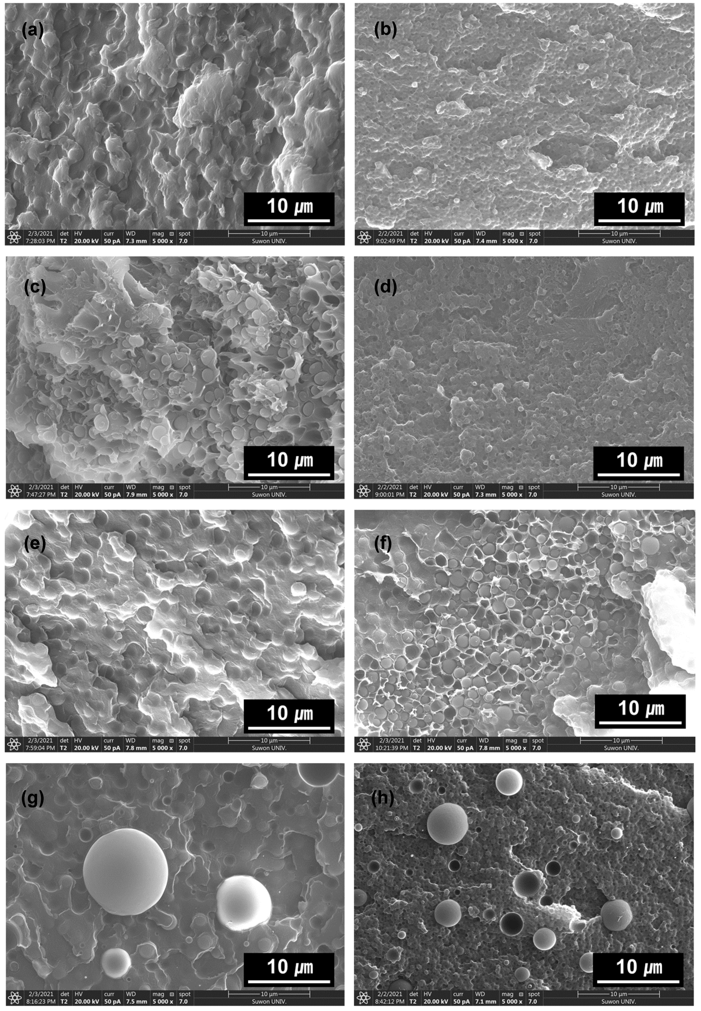 Polymers 13 01129 g005 Polymers 13 01129 g005
