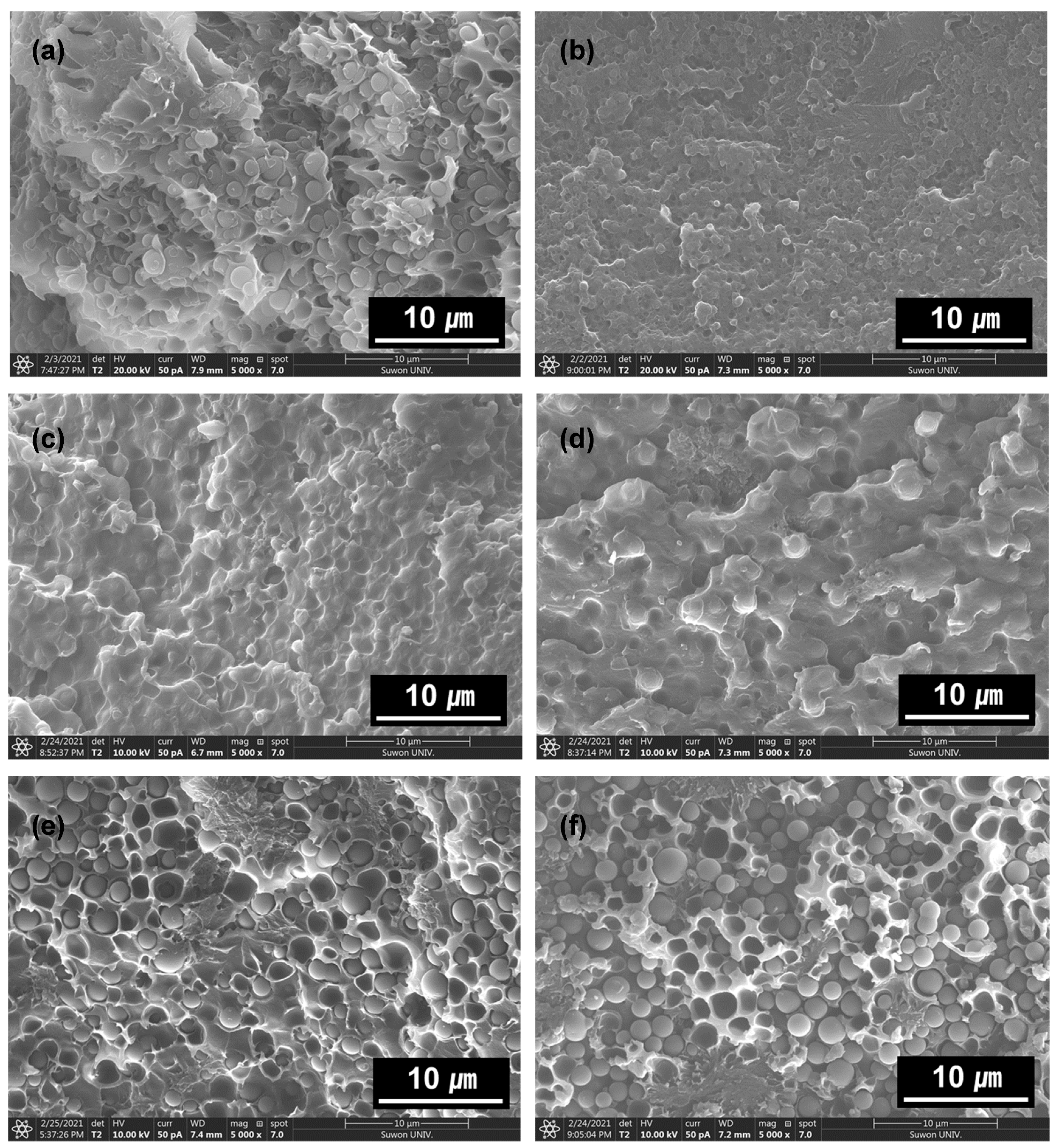 Polymers 13 01129 g007 Polymers 13 01129 g007