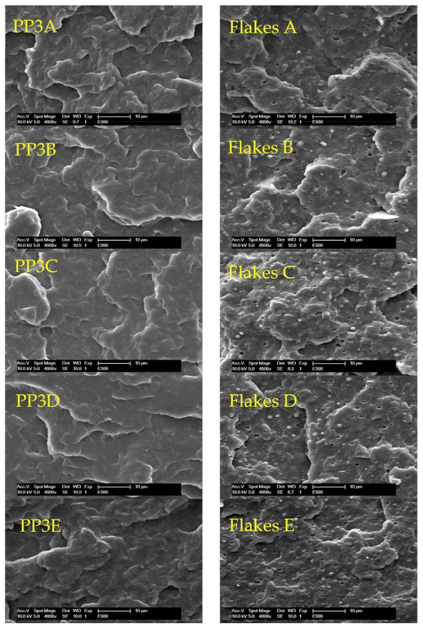 Polymers 13 01137 g010 Polymers 13 01137 g010