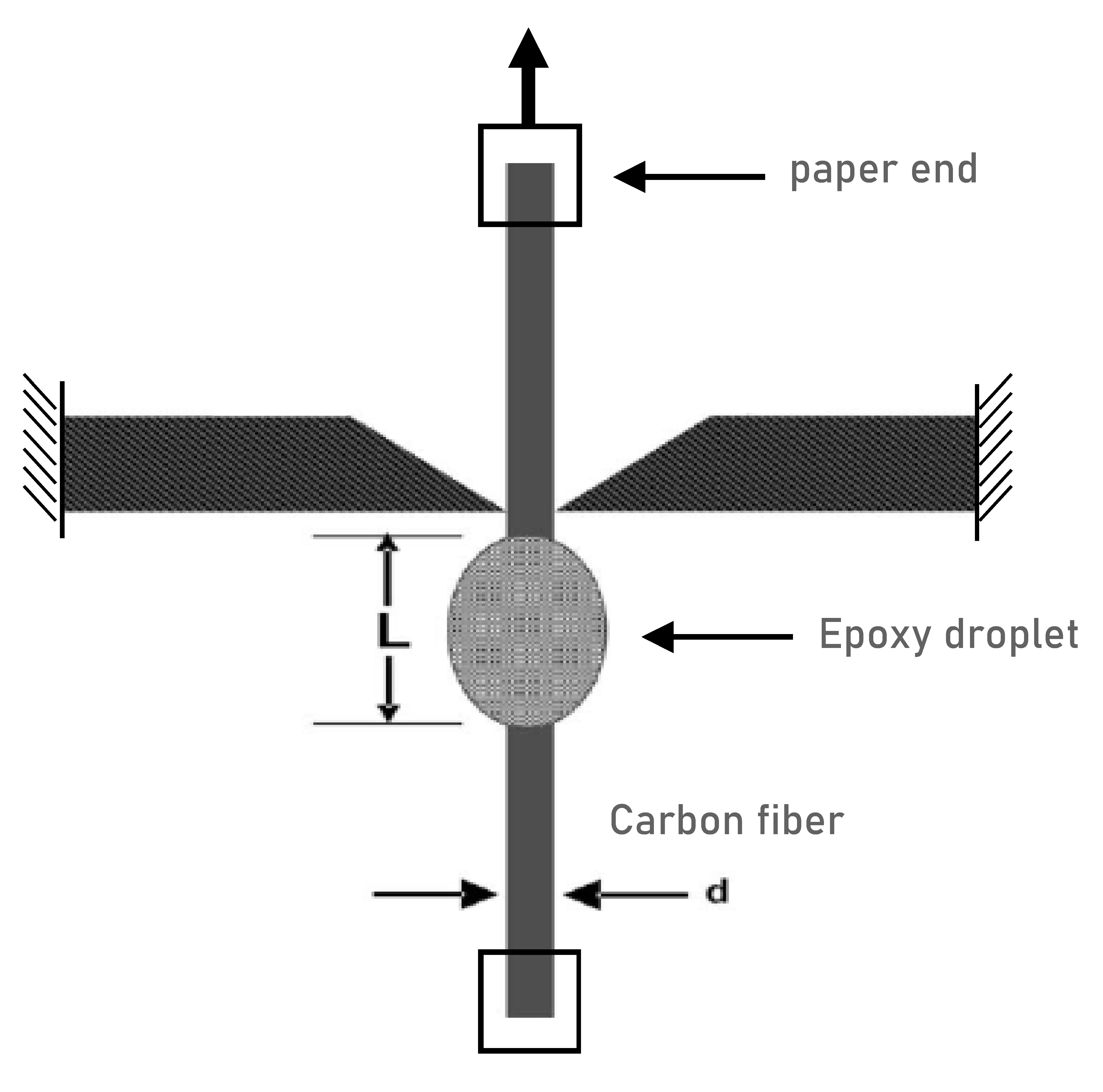 Polymers 13 01138 g002 Polymers 13 01138 g002