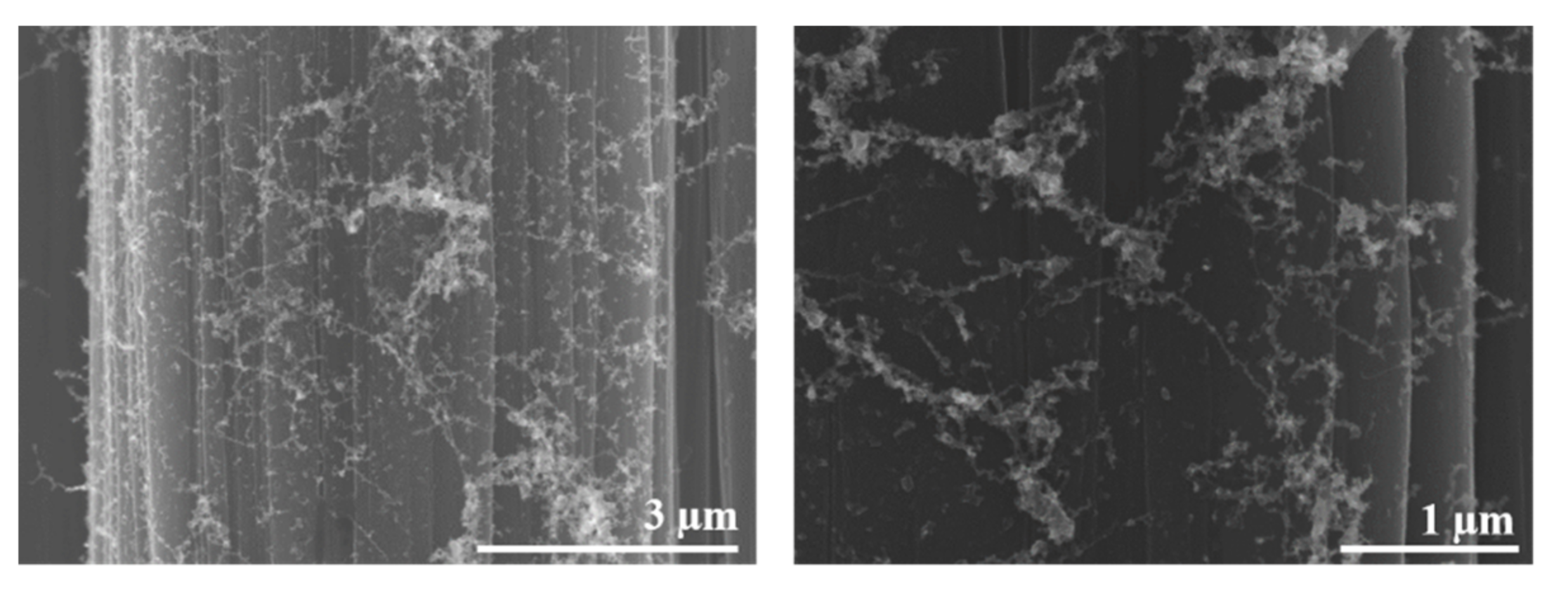 Polymers 13 01138 g006 Polymers 13 01138 g006