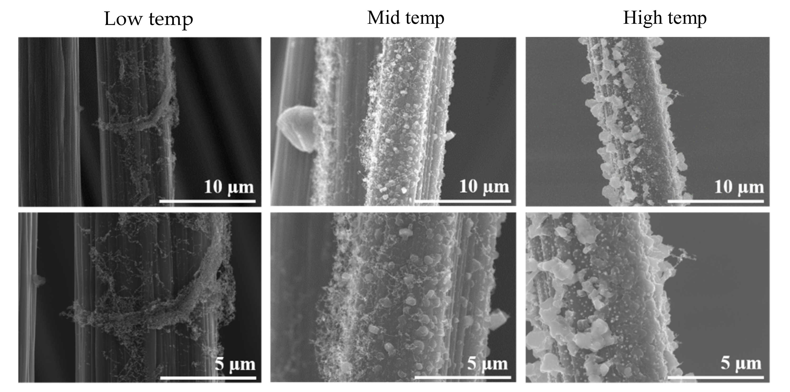 Polymers 13 01138 g007 Polymers 13 01138 g007