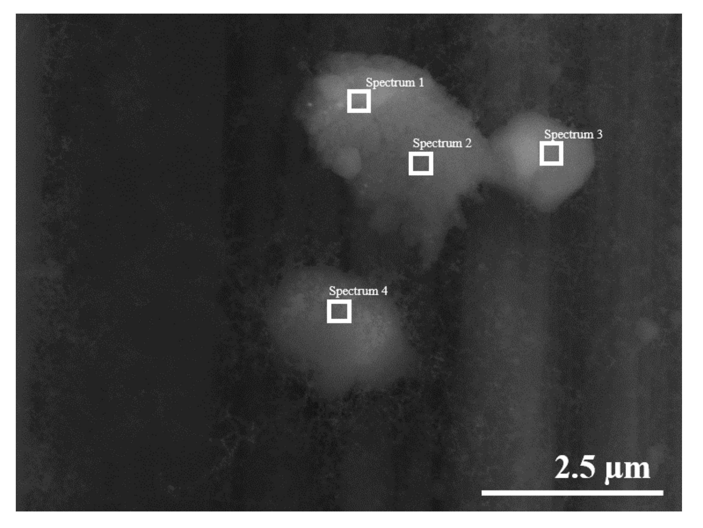 Polymers 13 01138 g008 Polymers 13 01138 g008