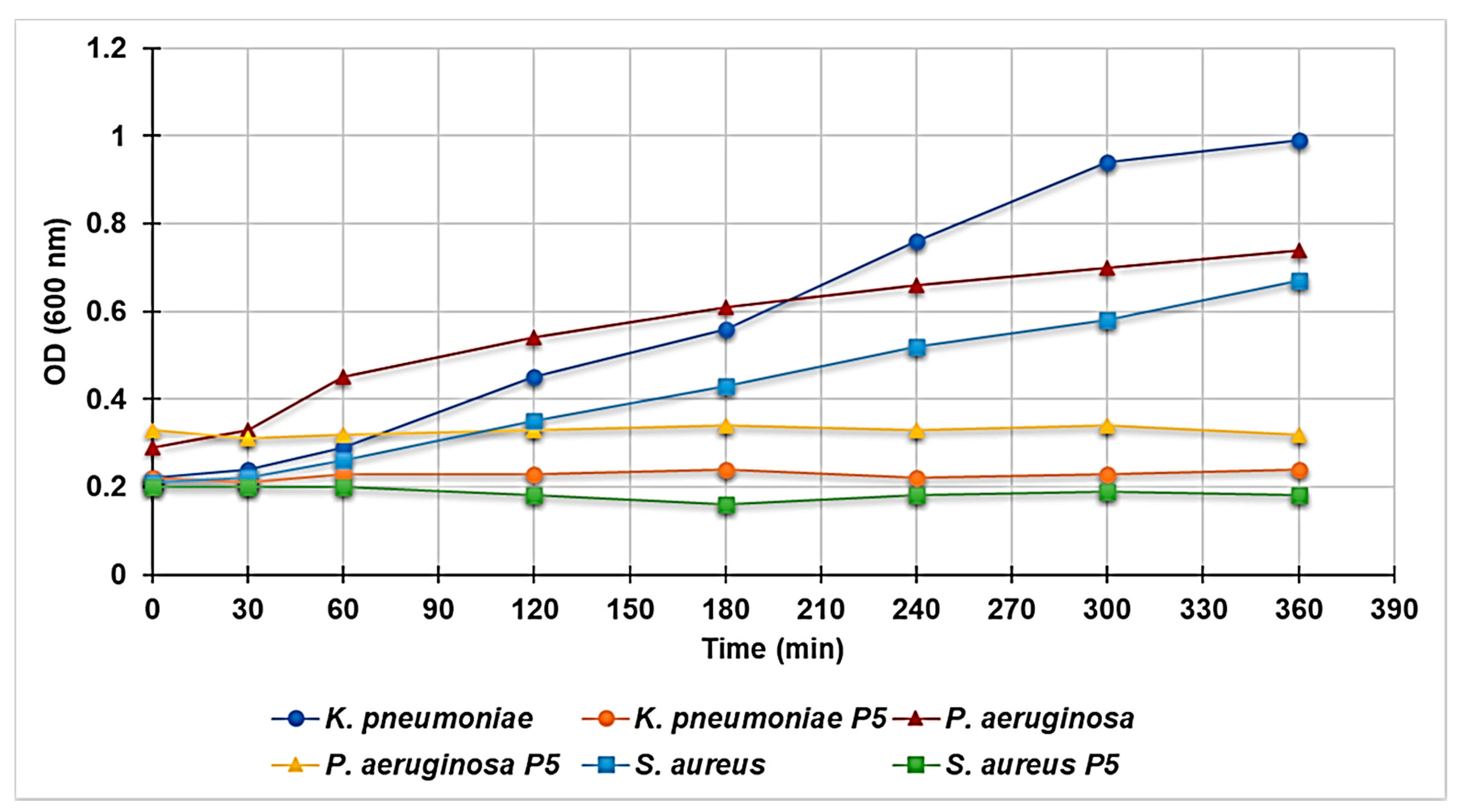 Polymers 13 01140 g005