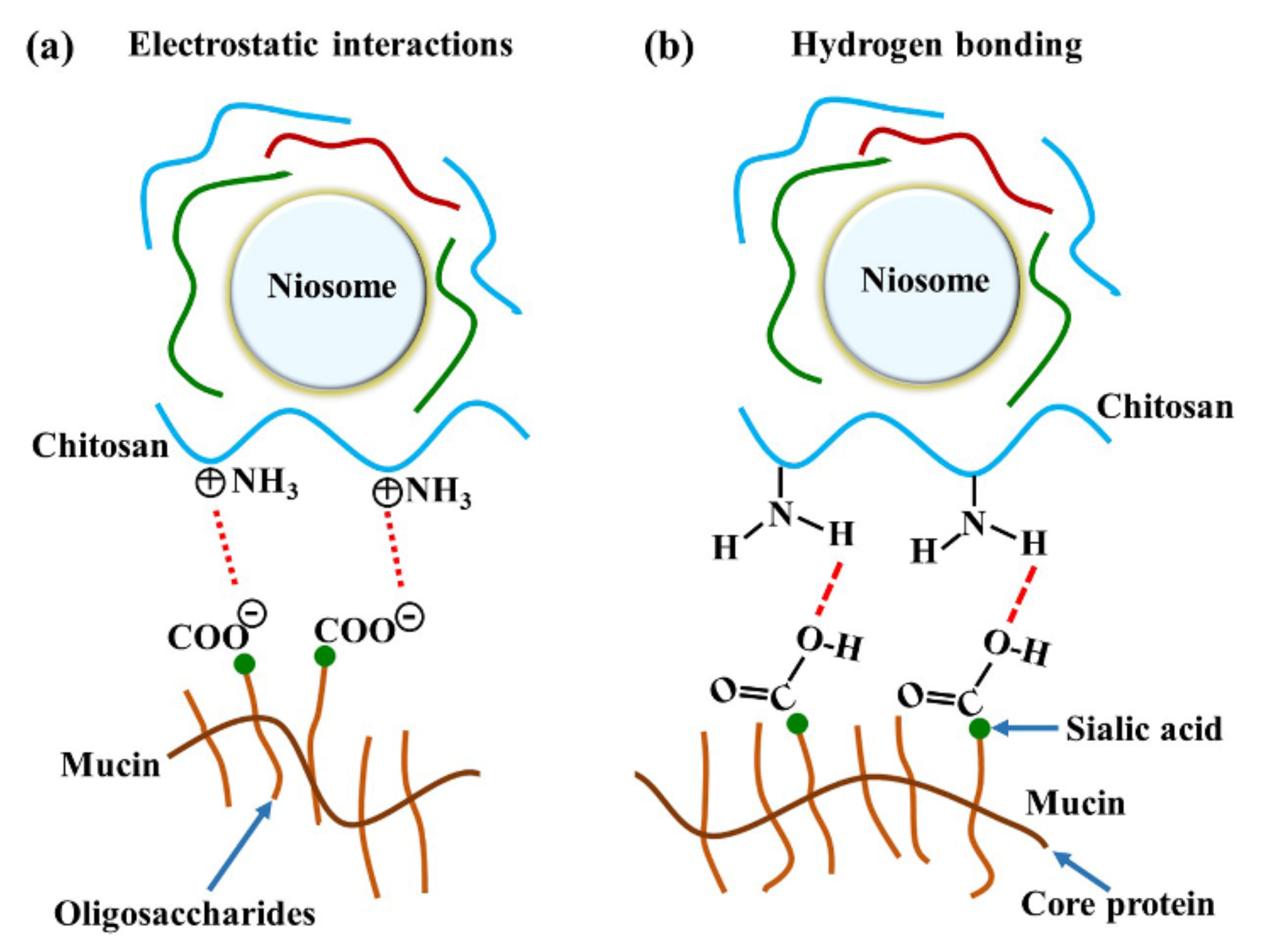 Polymers 13 01142 g006