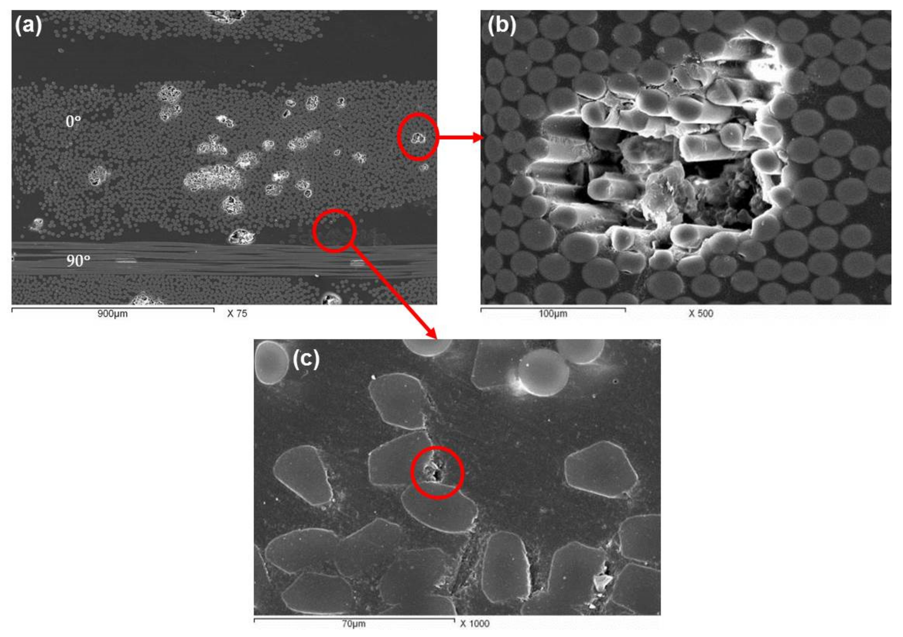 Polymers 13 01144 g004