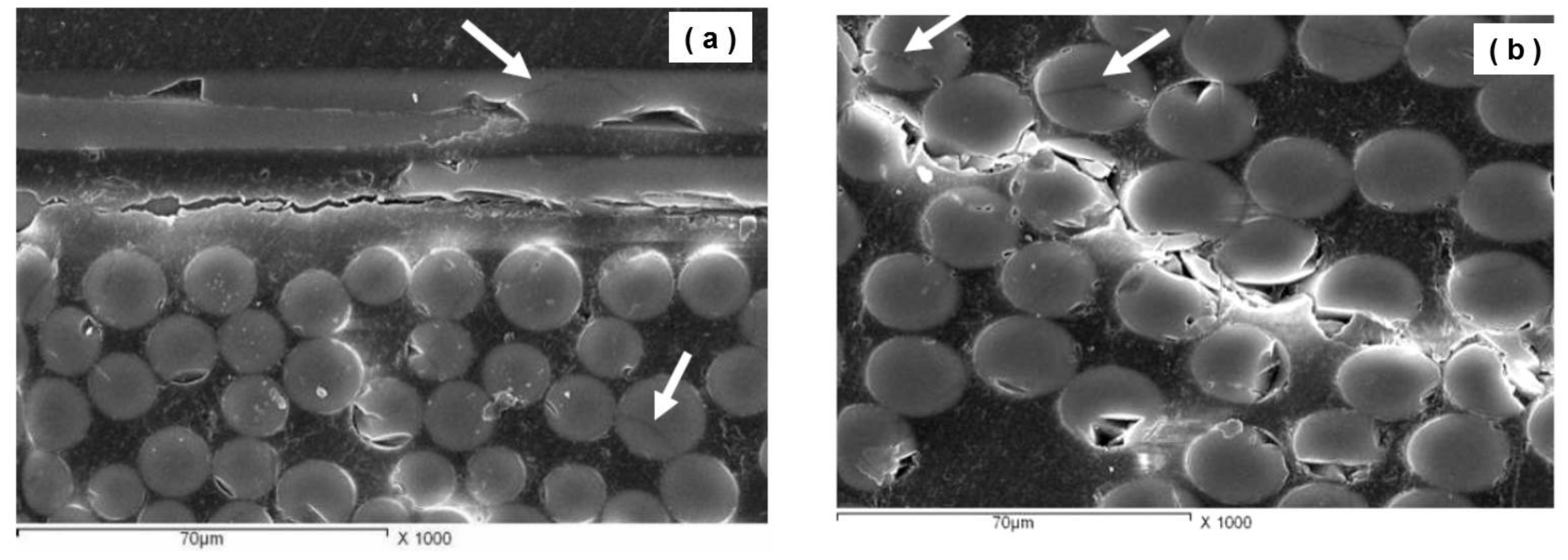 Polymers 13 01144 g012
