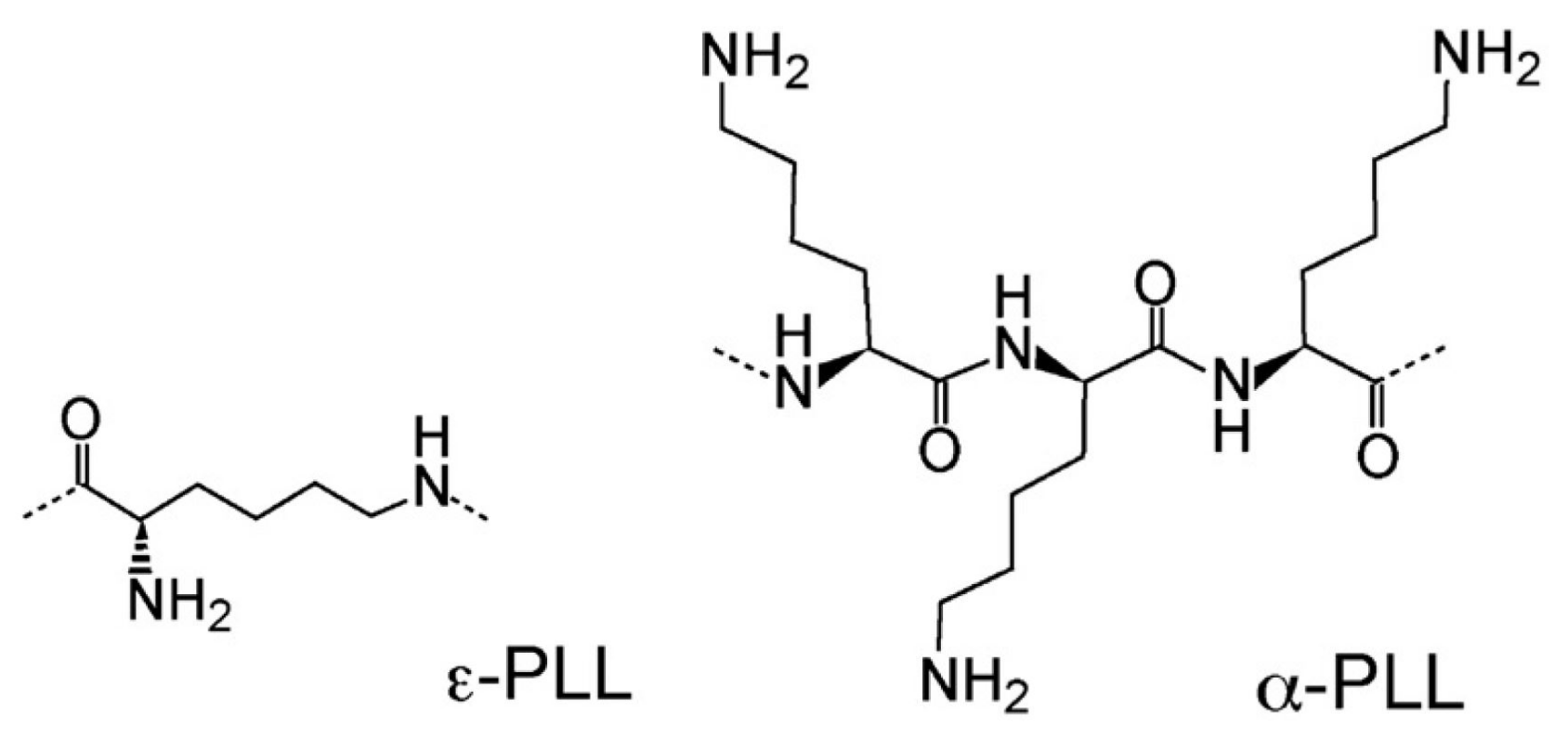 Polymers 13 01153 g002