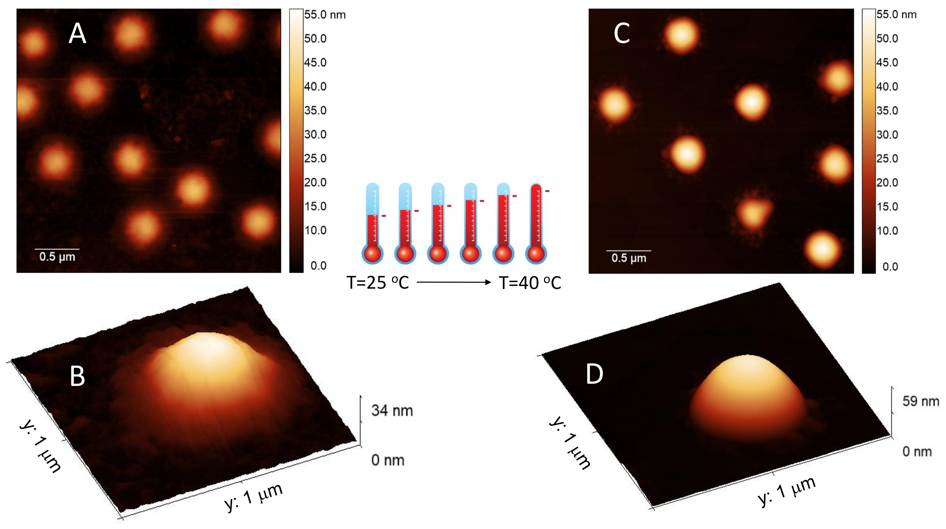 Polymers 13 01153 g004