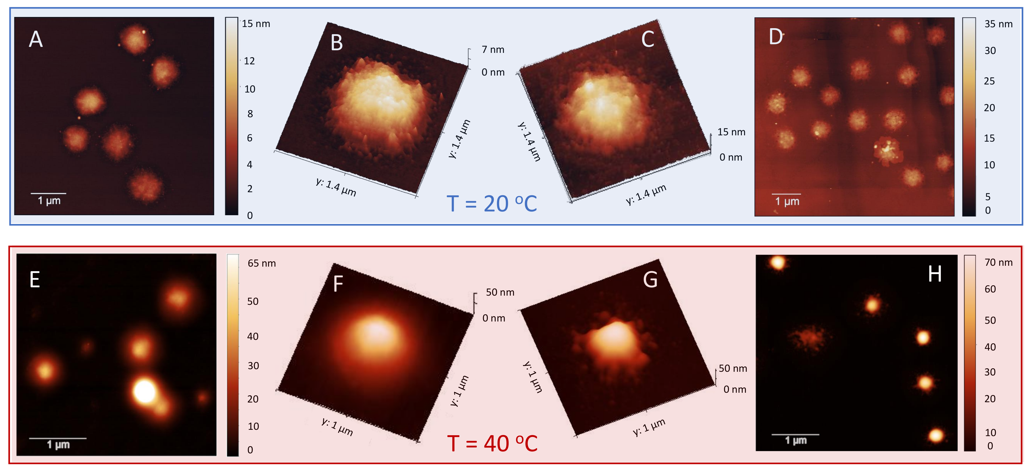 Polymers 13 01153 g010