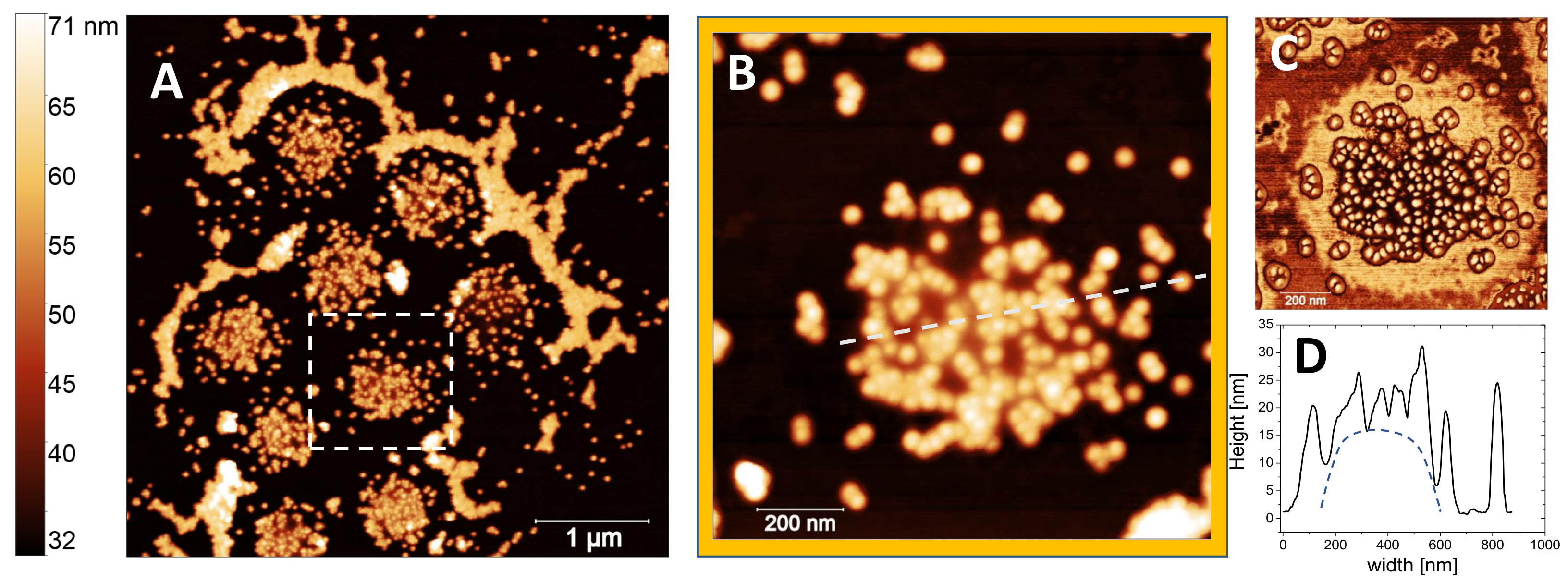 Polymers 13 01153 g012