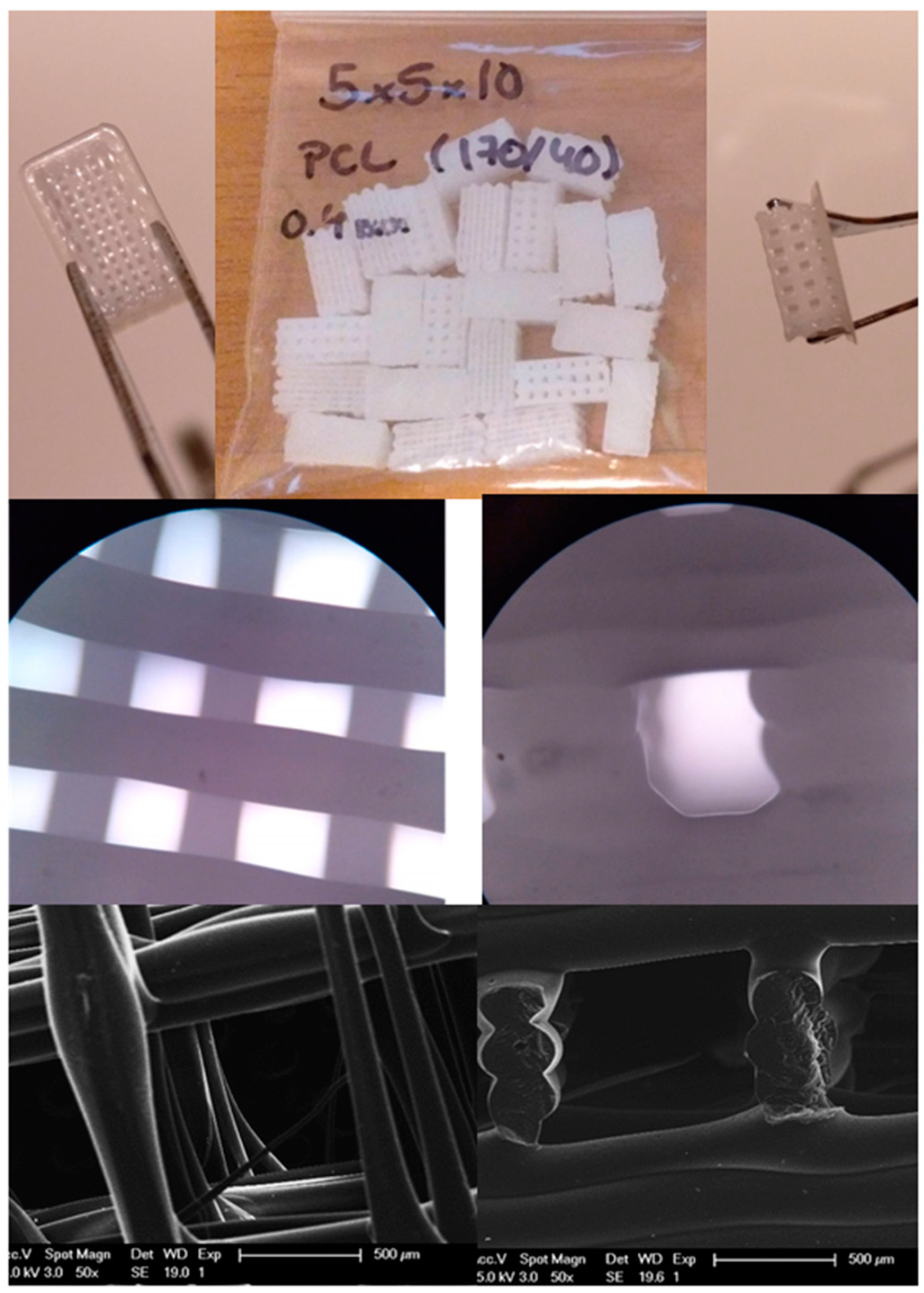 Polymers 13 01154 g001 Polymers 13 01154 g001