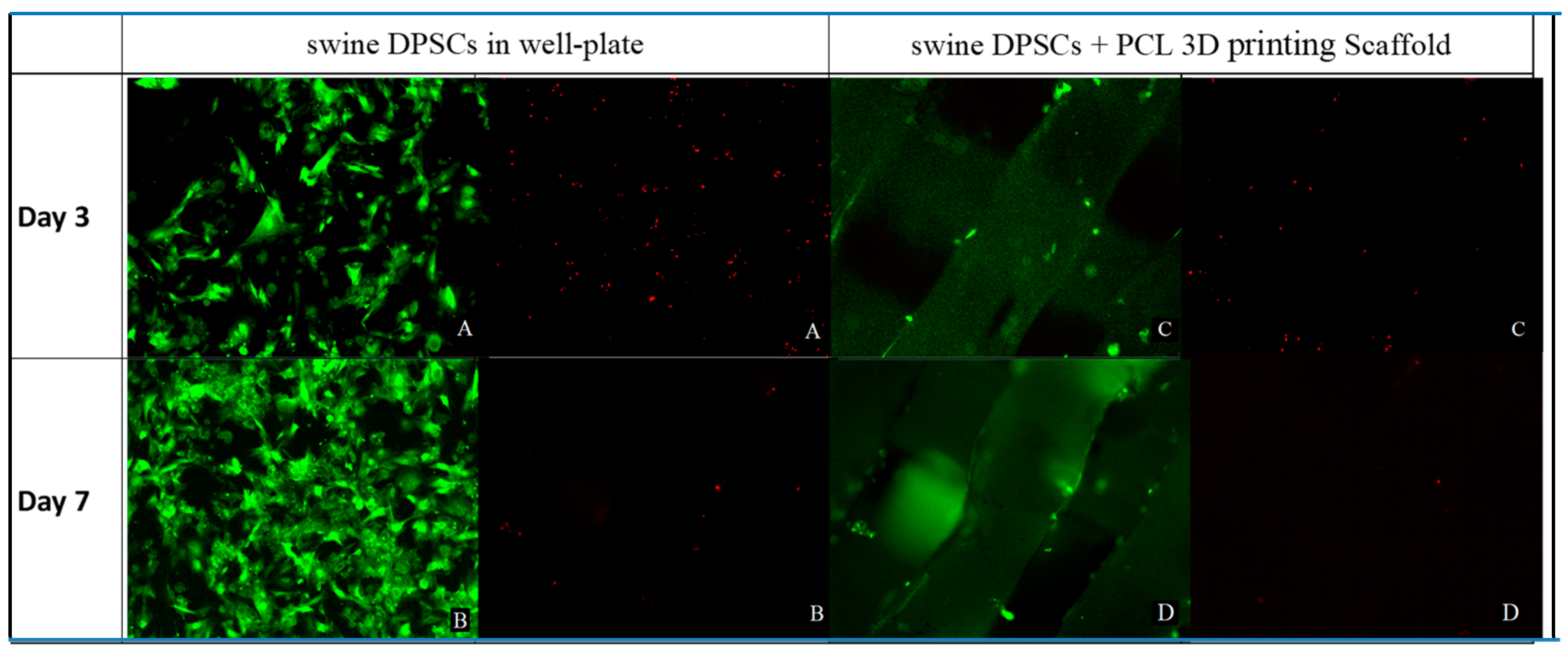 Polymers 13 01154 g004 Polymers 13 01154 g004