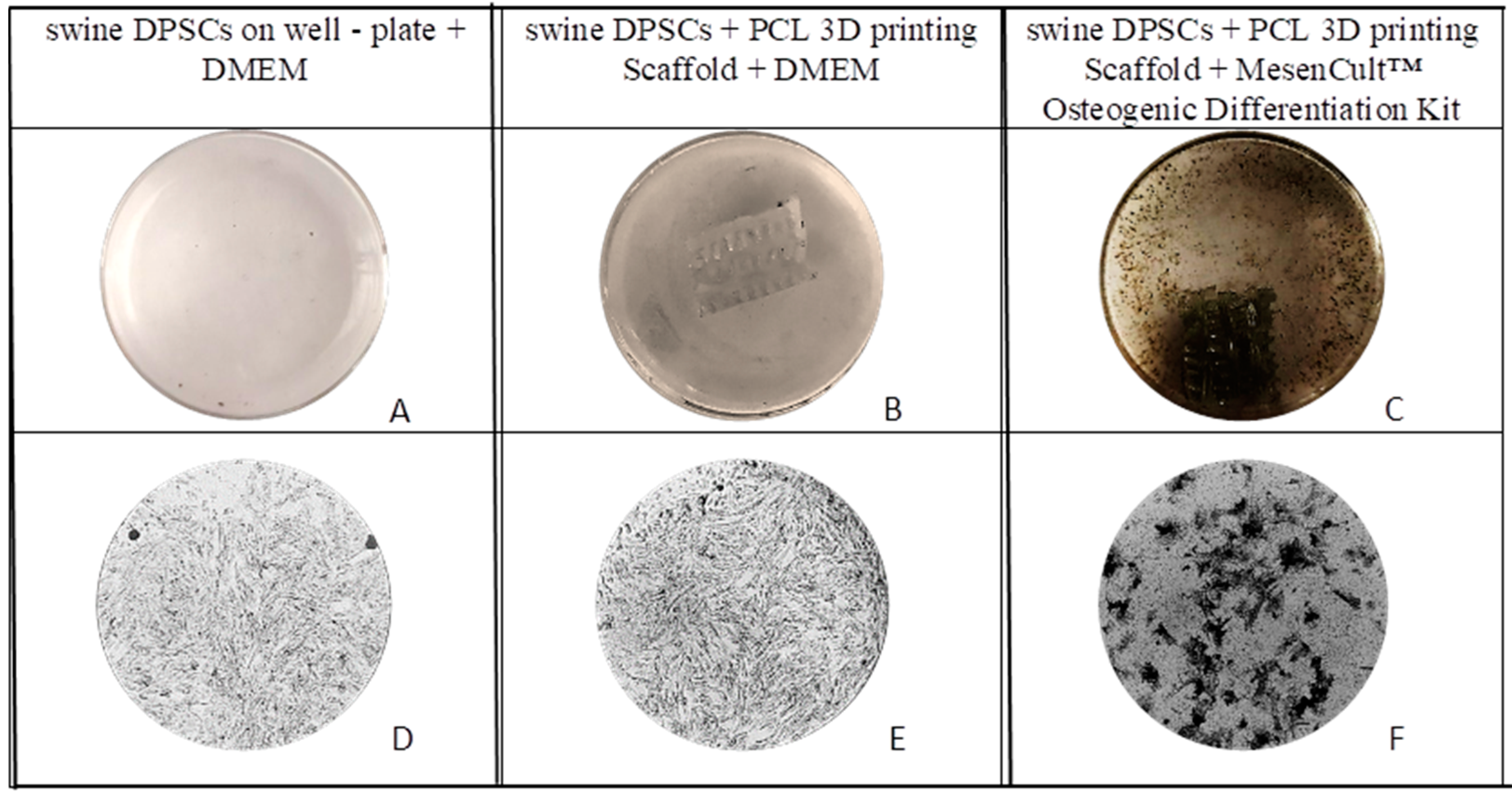 Polymers 13 01154 g006 Polymers 13 01154 g006