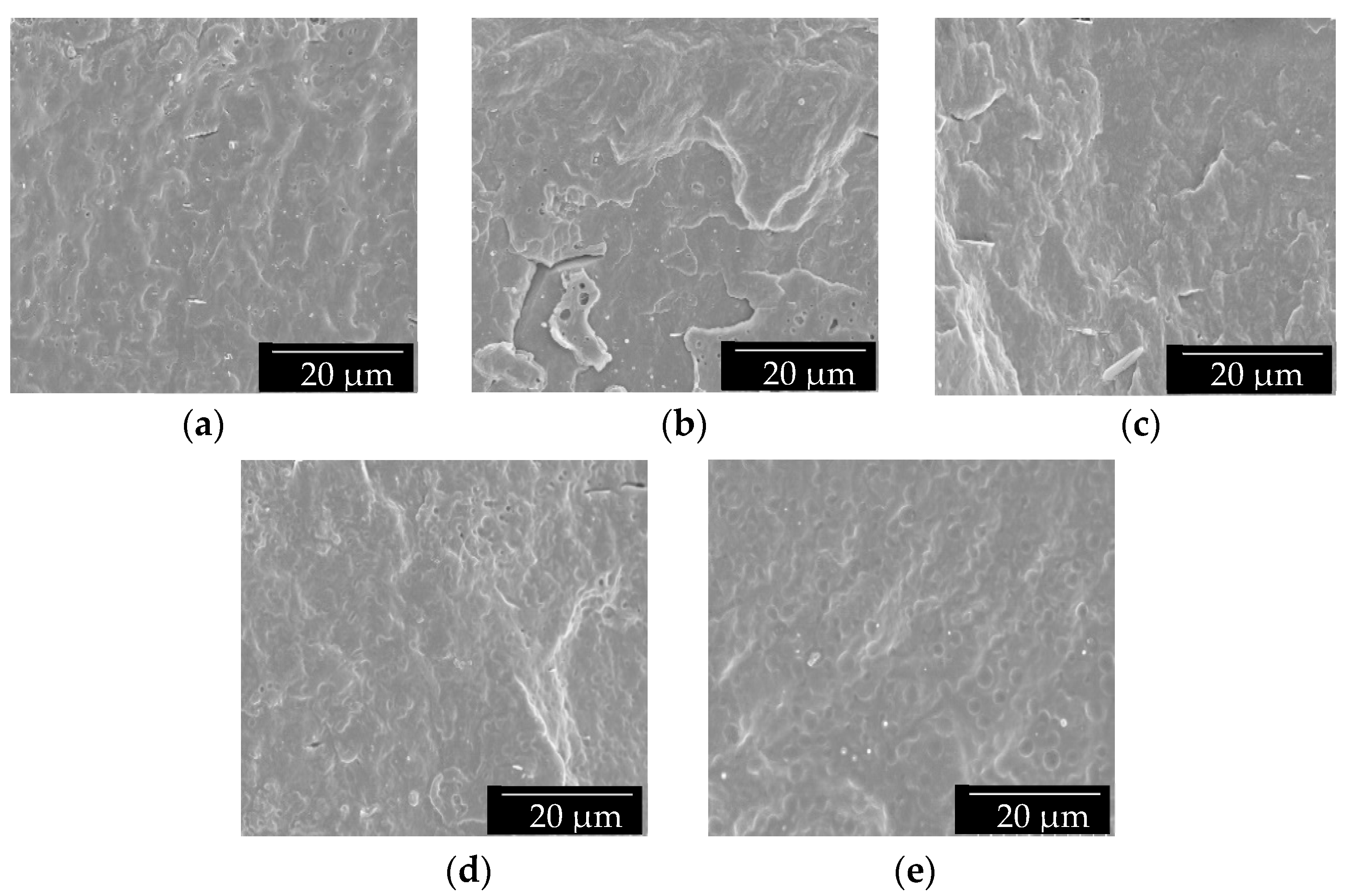 Polymers 13 01155 g001
