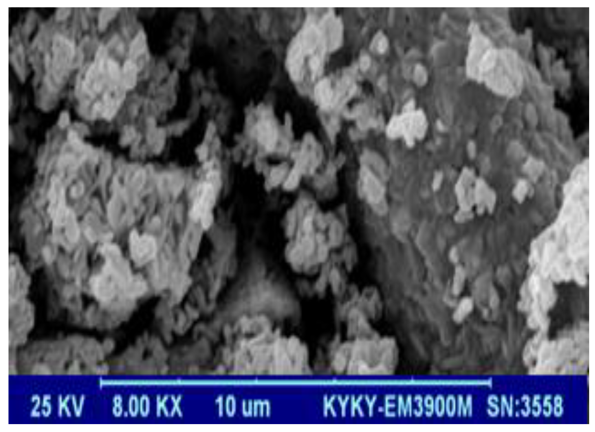 Polymers 13 01161 g005