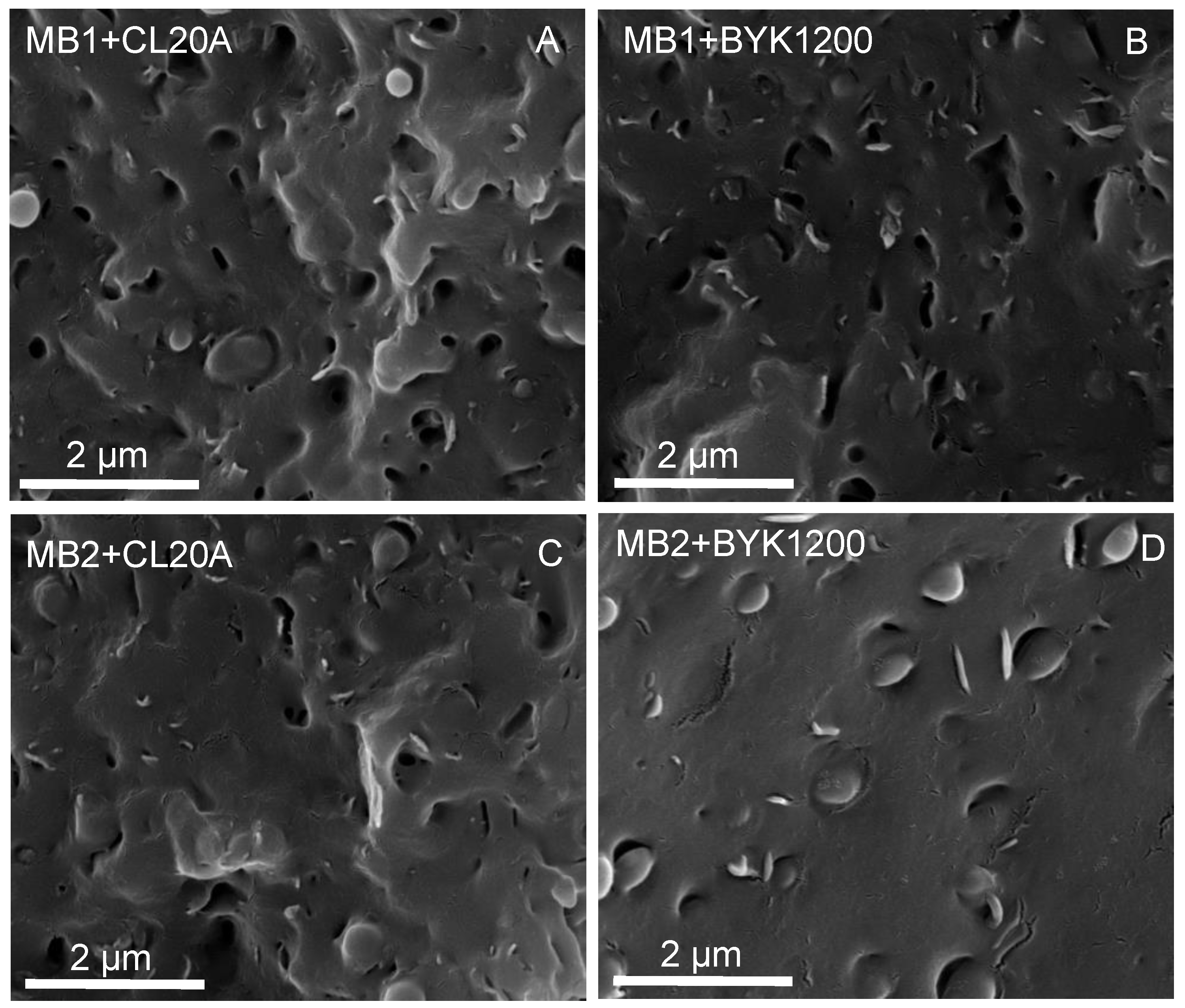 Polymers 13 01167 g001