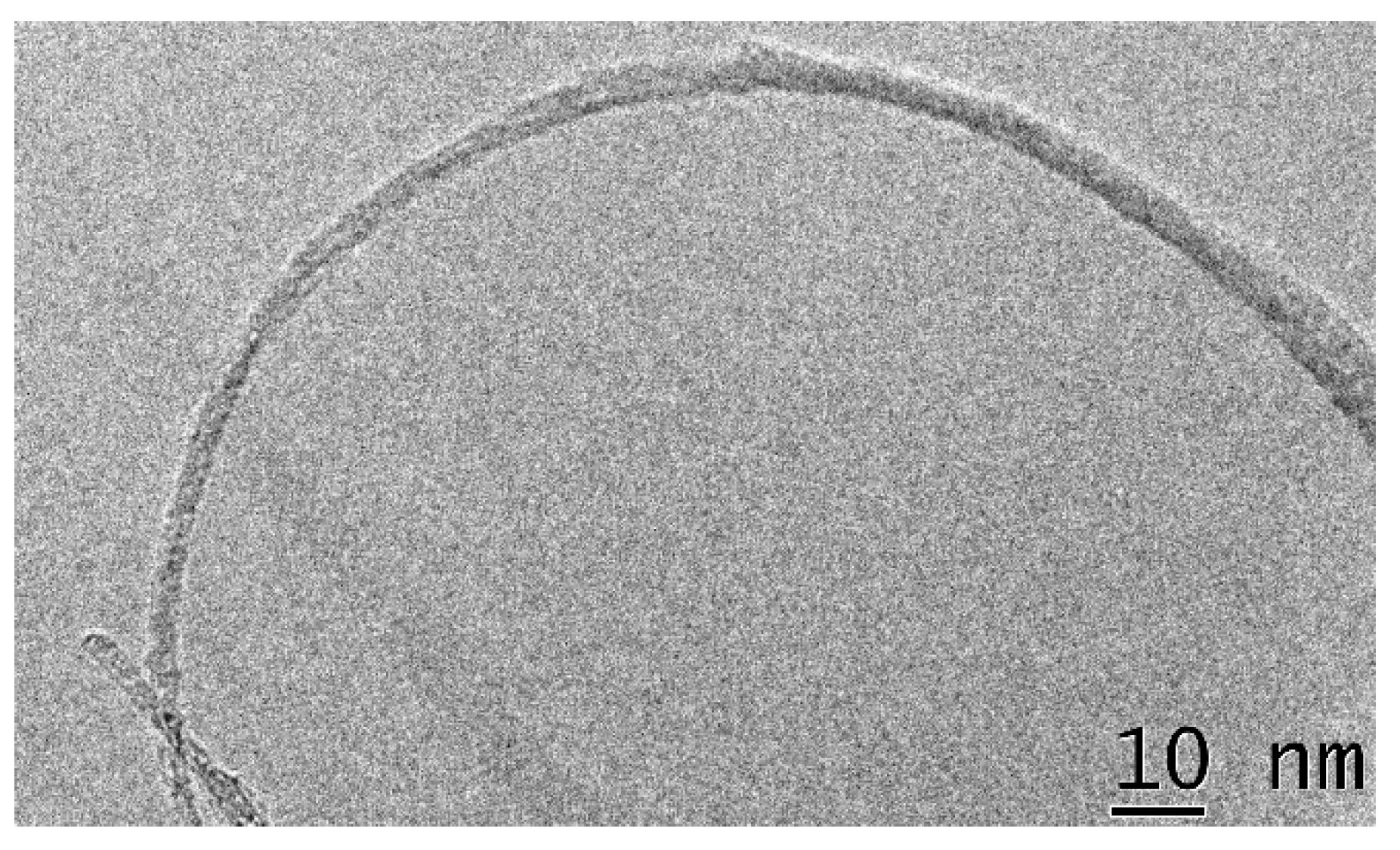 Polymers 13 01169 g007b Polymers 13 01169 g007b