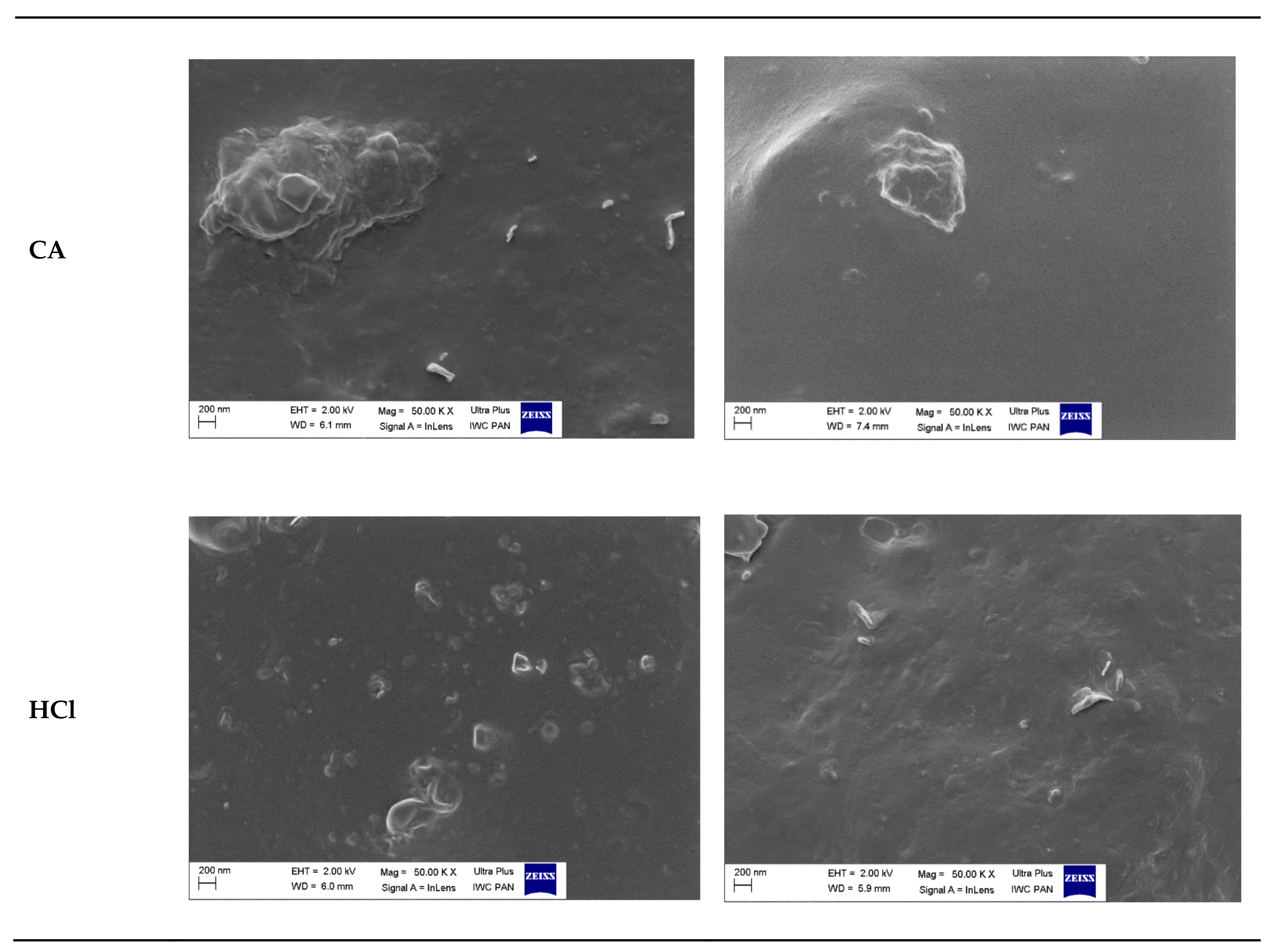 Polymers 13 01177 g010b Polymers 13 01177 g010b