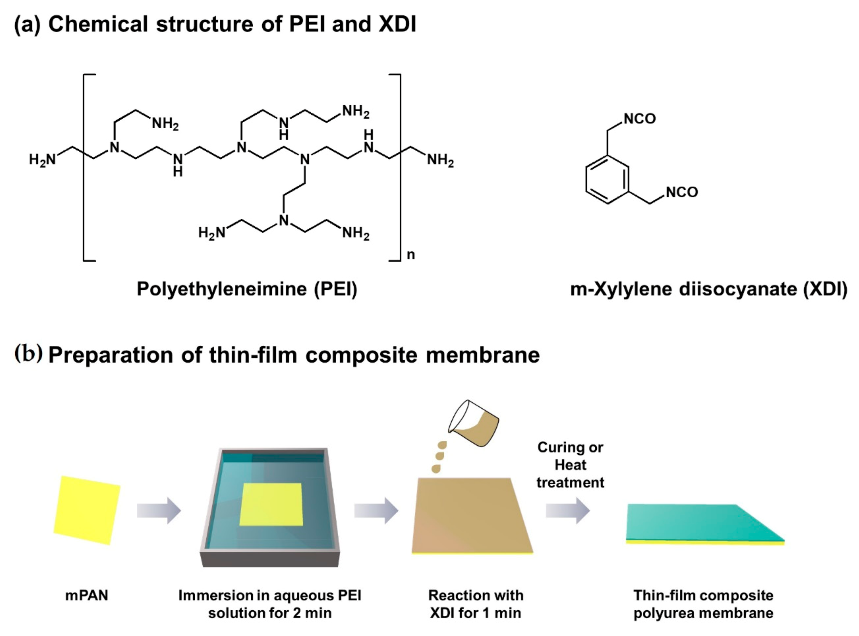 Polymers 13 01179 g001