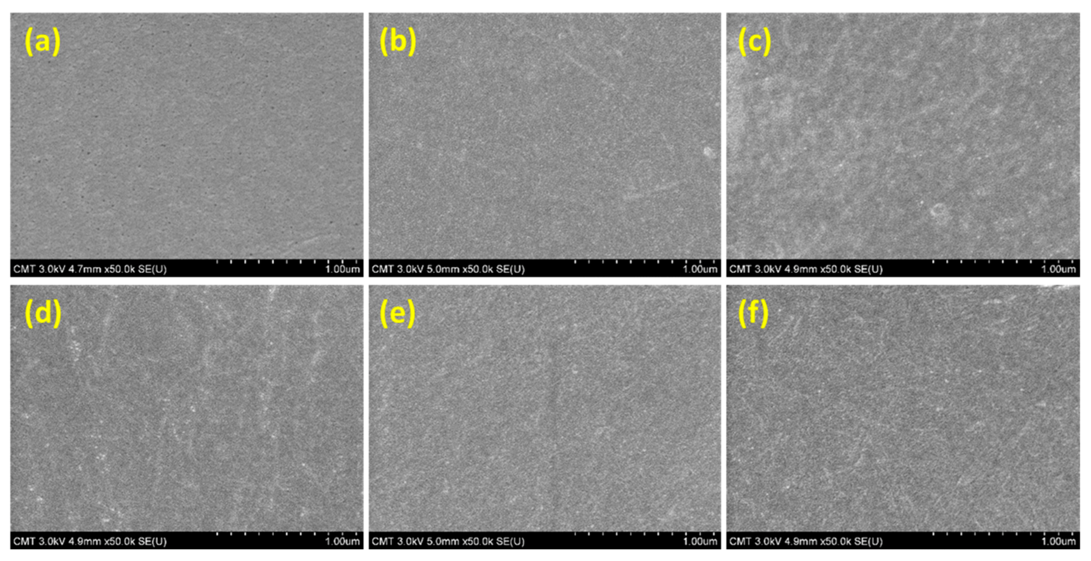 Polymers 13 01179 g003
