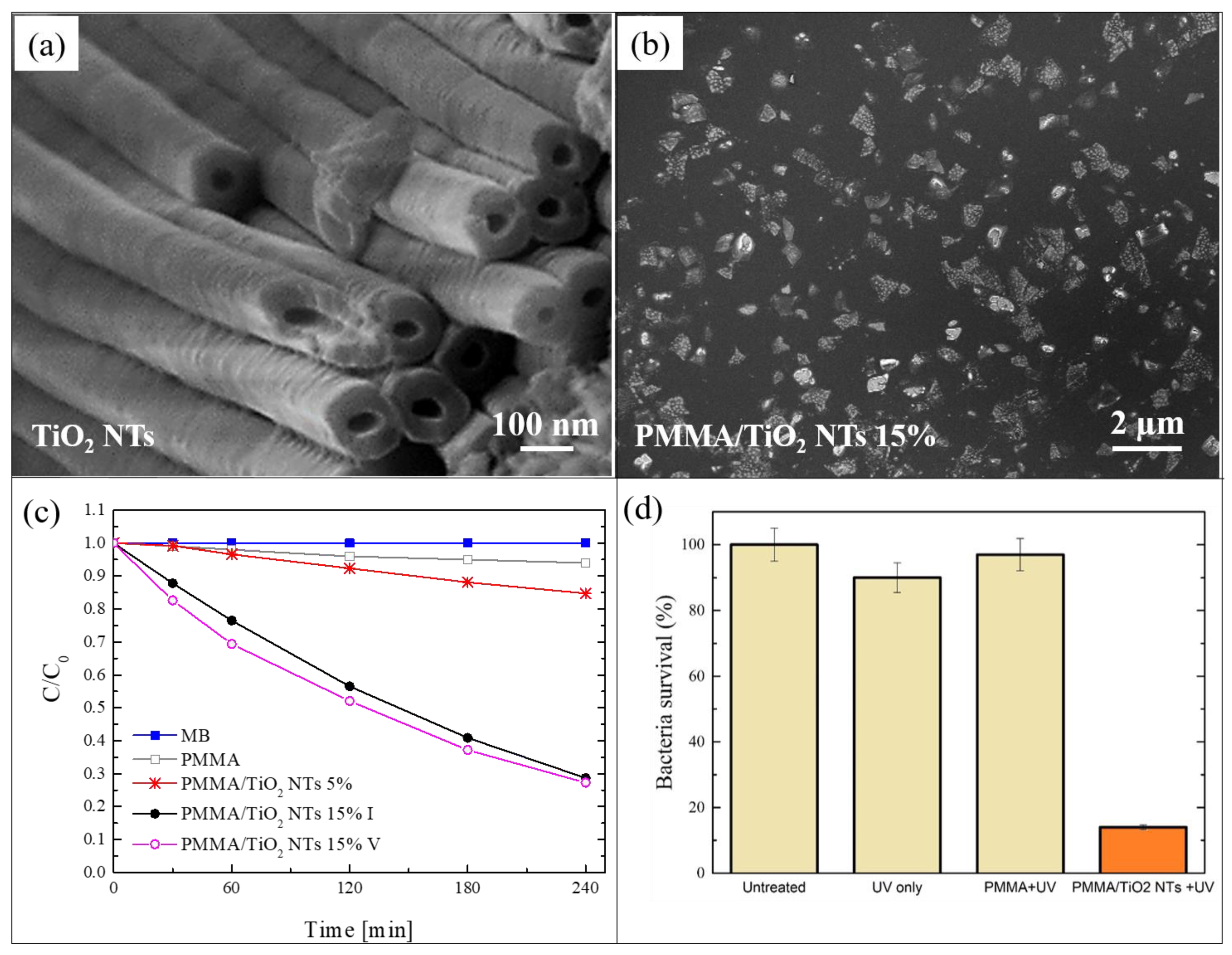 Polymers 13 01184 g003
