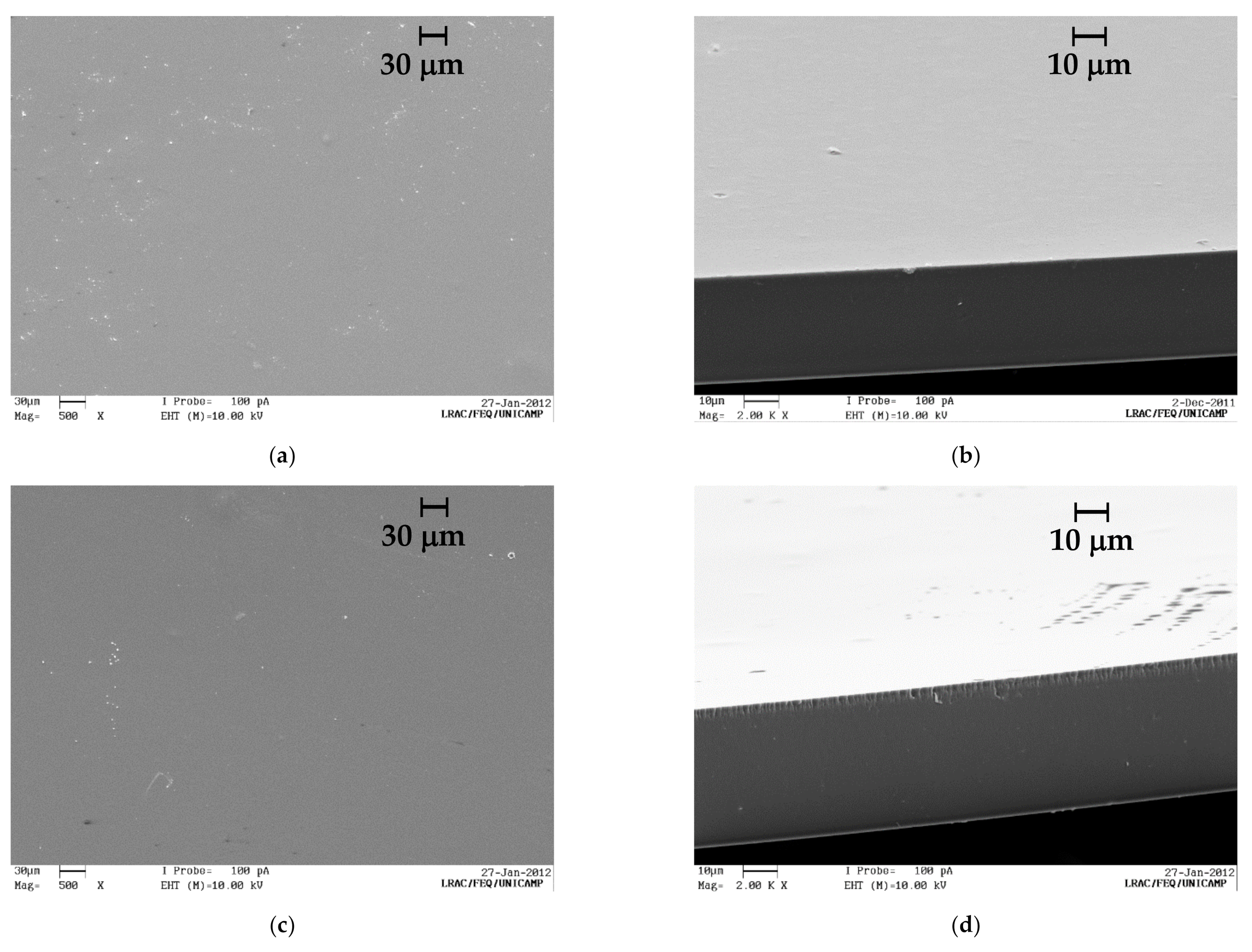 Polymers 13 01187 g002 Polymers 13 01187 g002