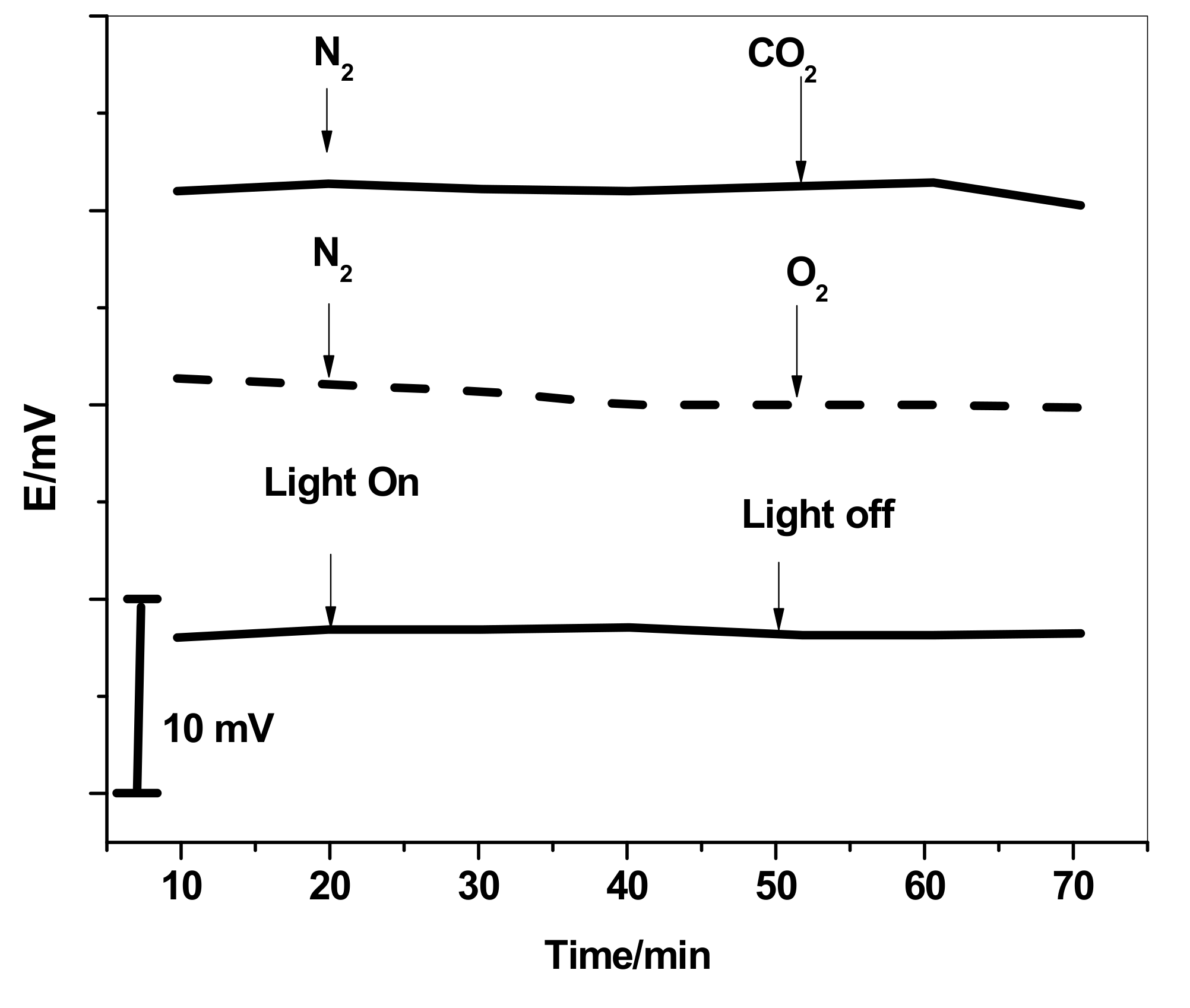 Polymers 13 01192 g006