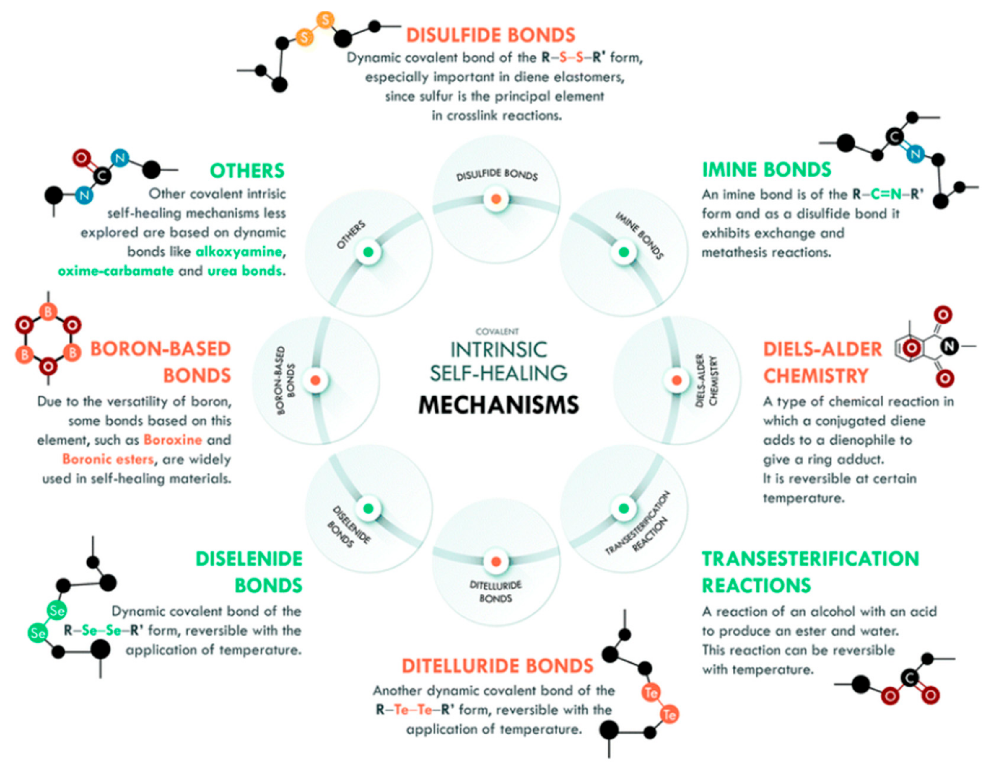 Polymers 13 01194 g003