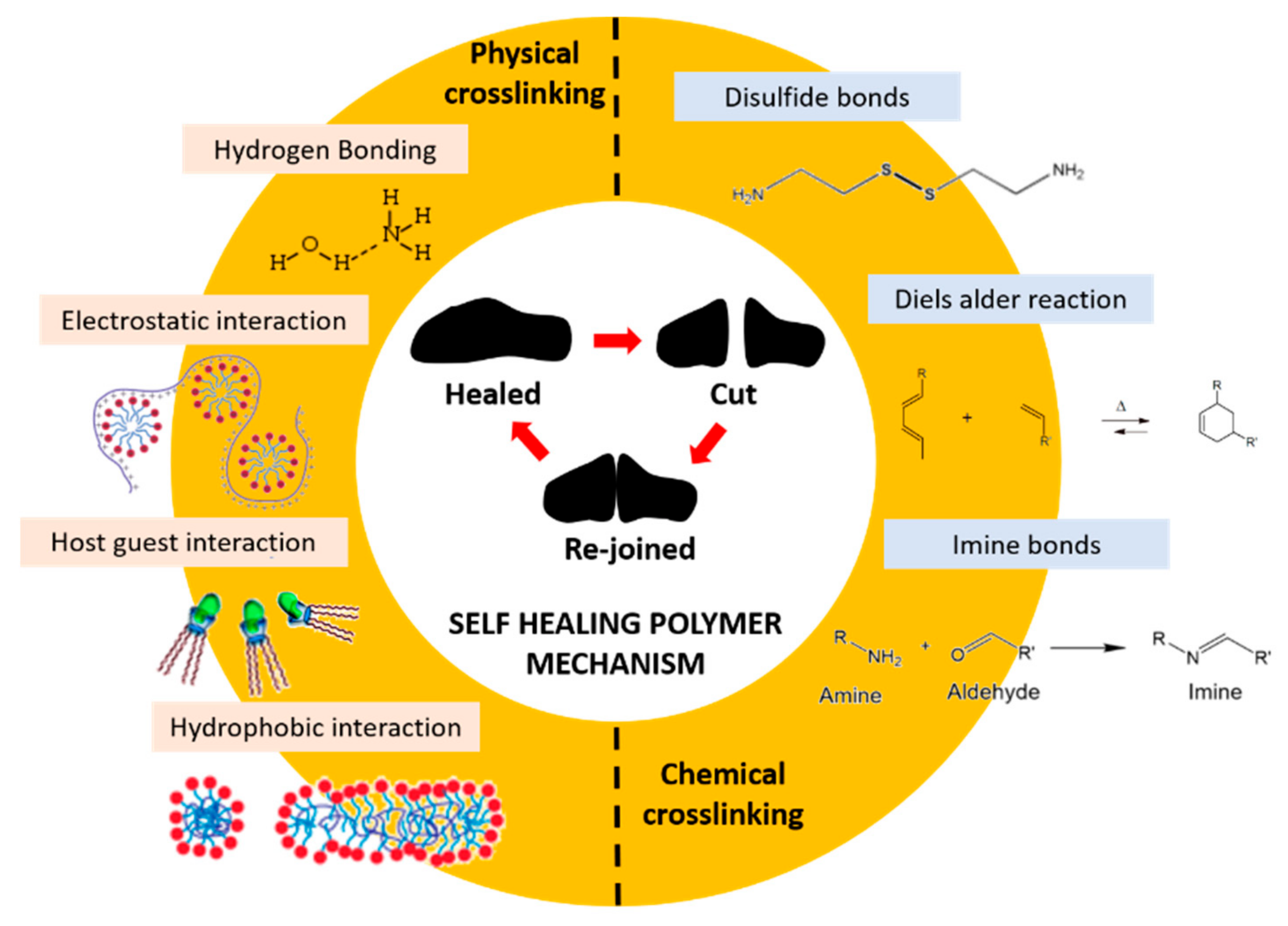 Polymers 13 01194 g010