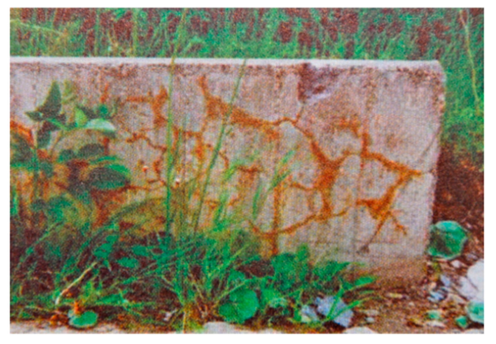 Polymers 13 01194 g011