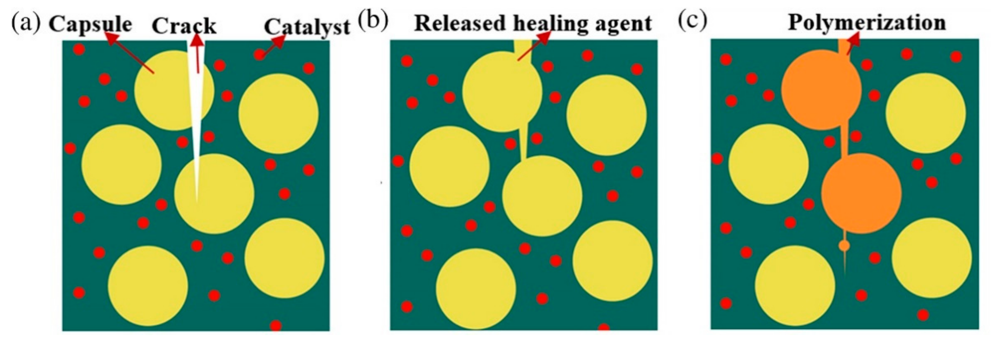 Polymers 13 01194 g012