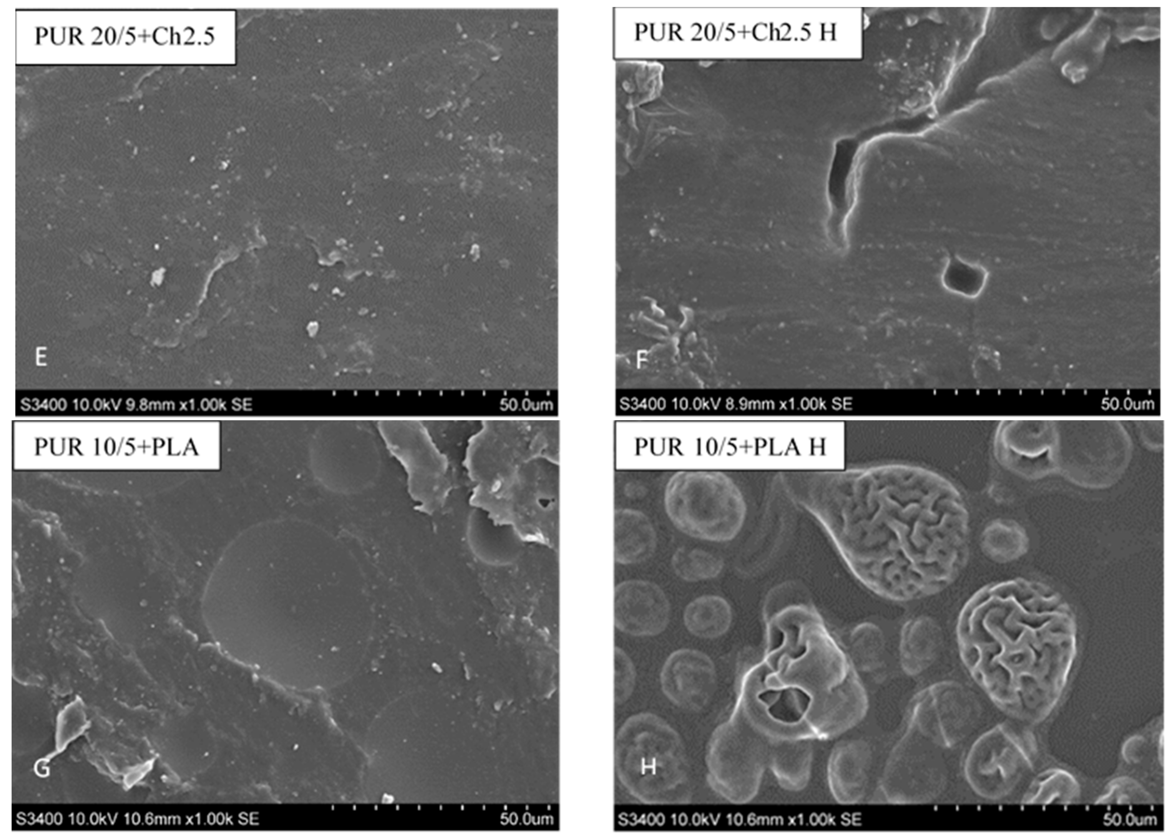 Polymers 13 01202 g006b