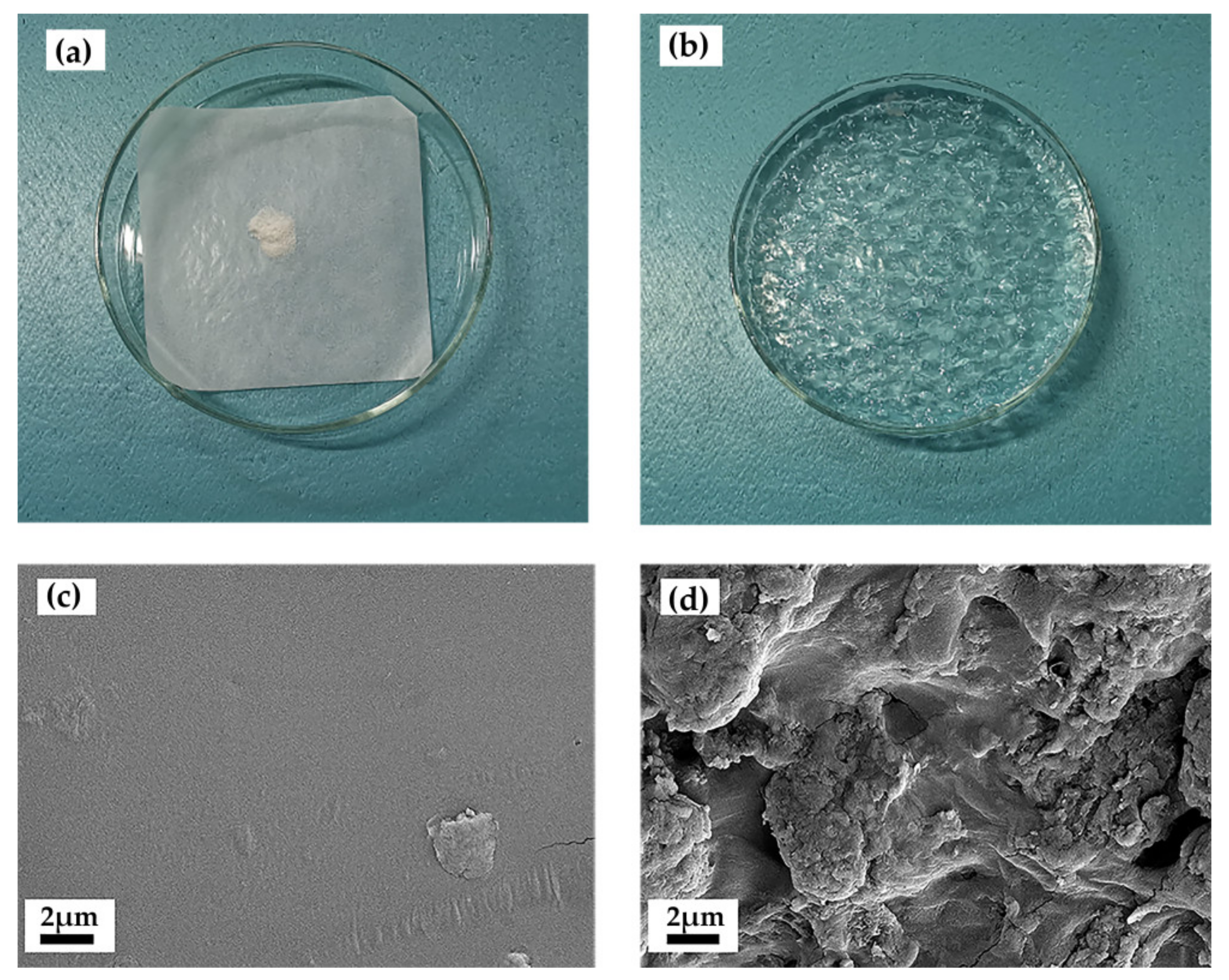 Polymers 13 01204 g002 Polymers 13 01204 g002