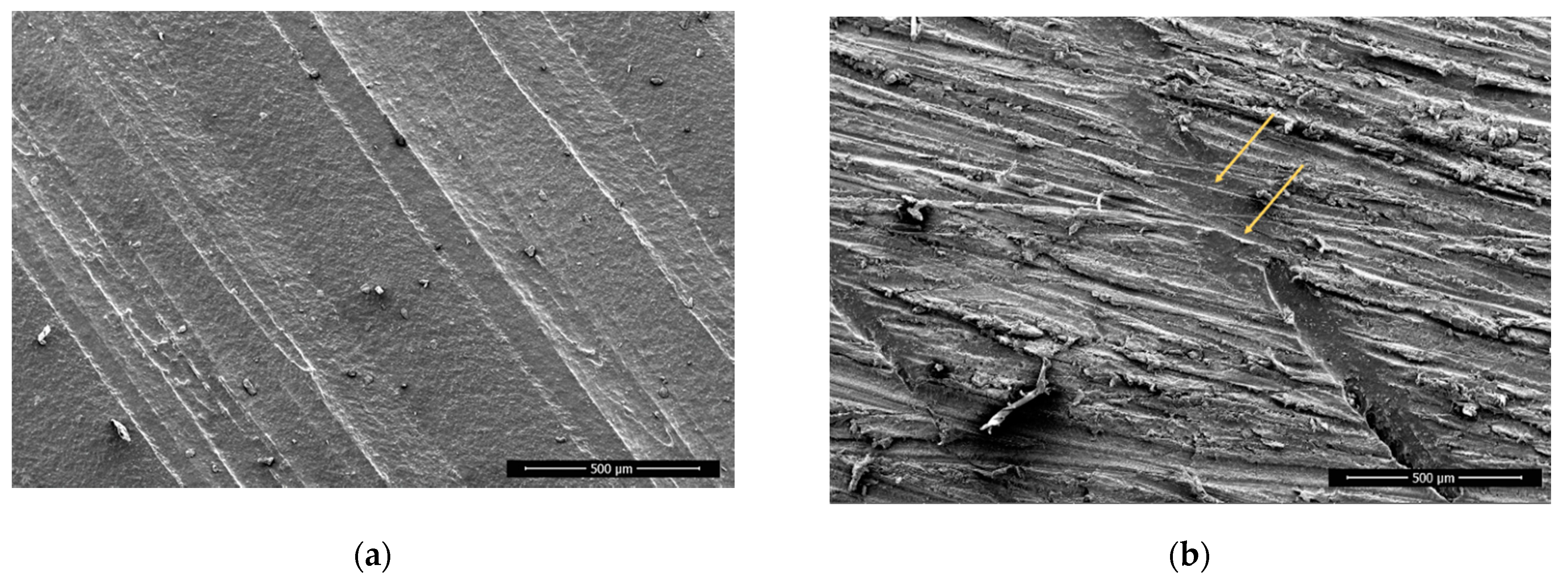 Polymers 13 01211 g002