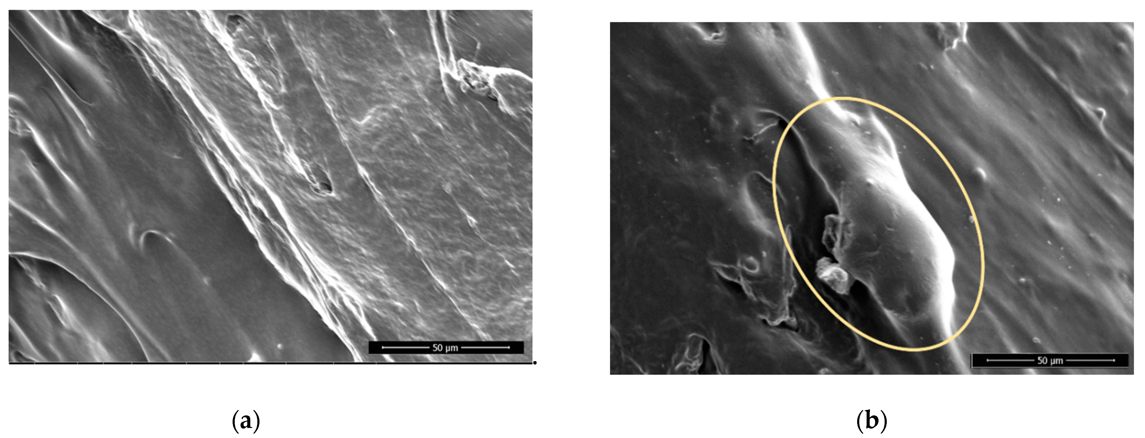 Polymers 13 01211 g005