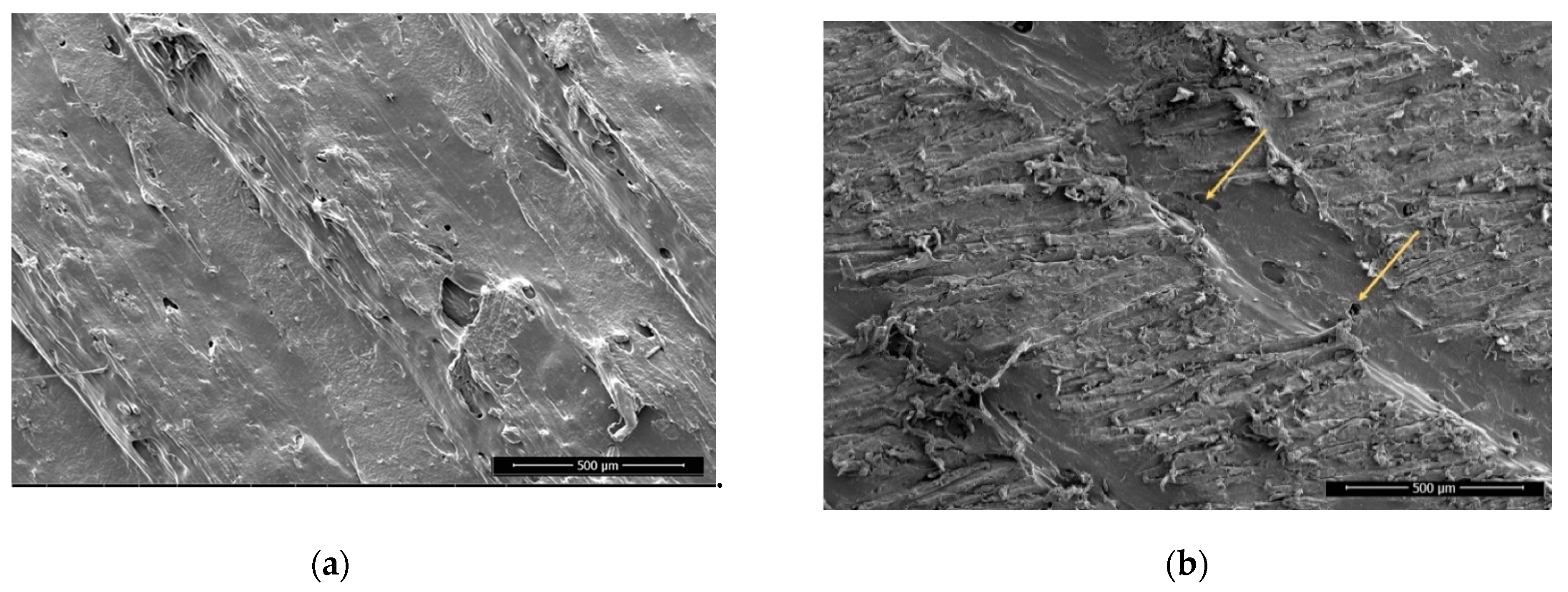 Polymers 13 01211 g006