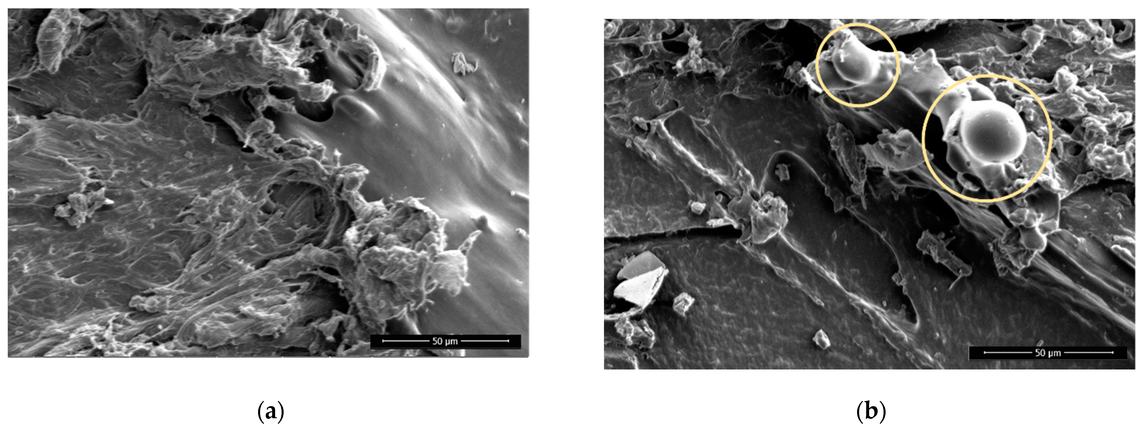 Polymers 13 01211 g007