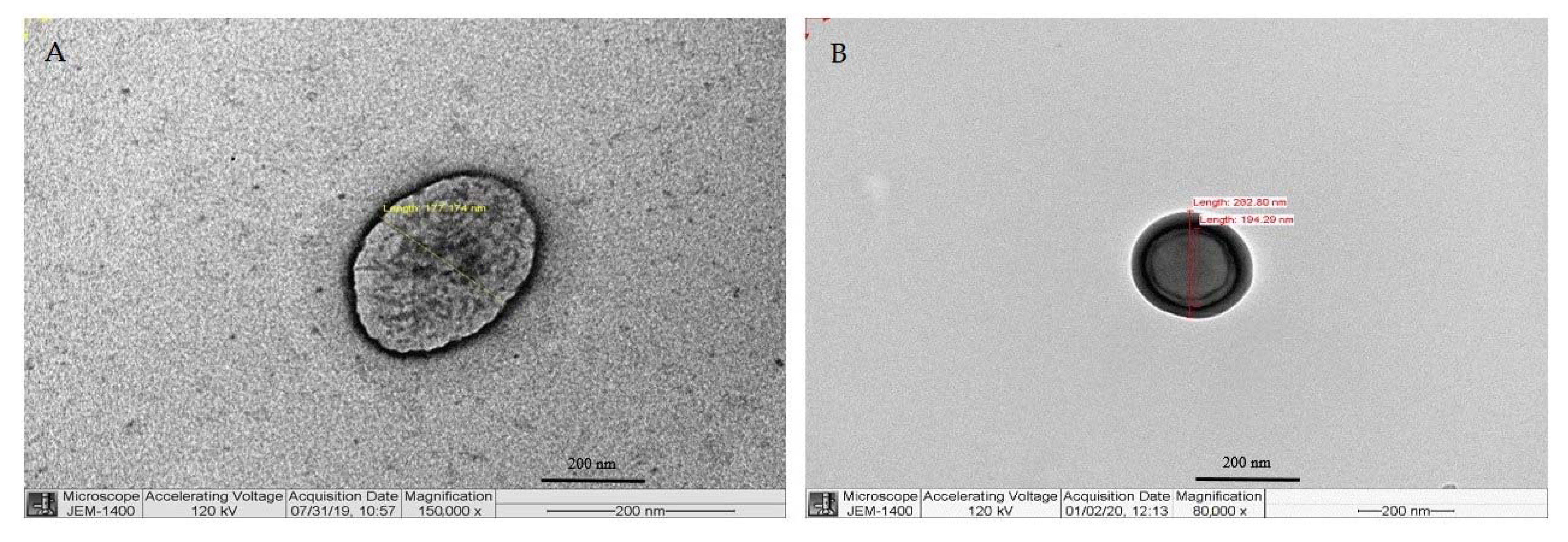 Polymers 13 01212 g004 Polymers 13 01212 g004