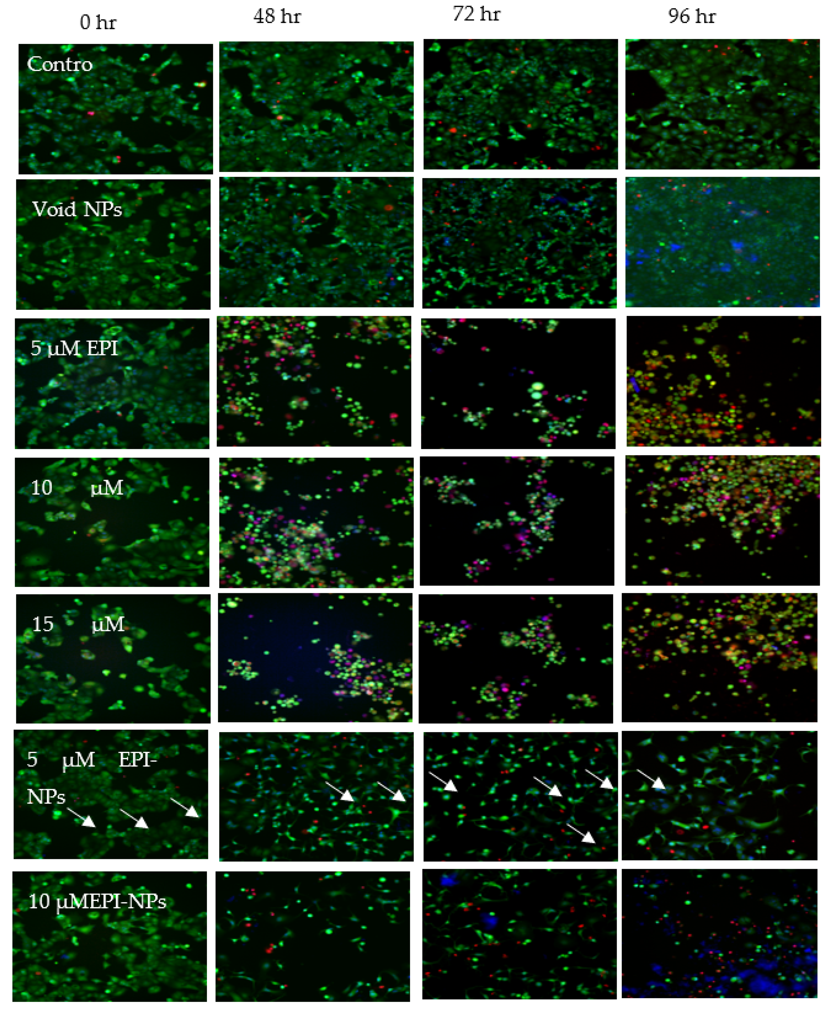 Polymers 13 01212 g009 Polymers 13 01212 g009