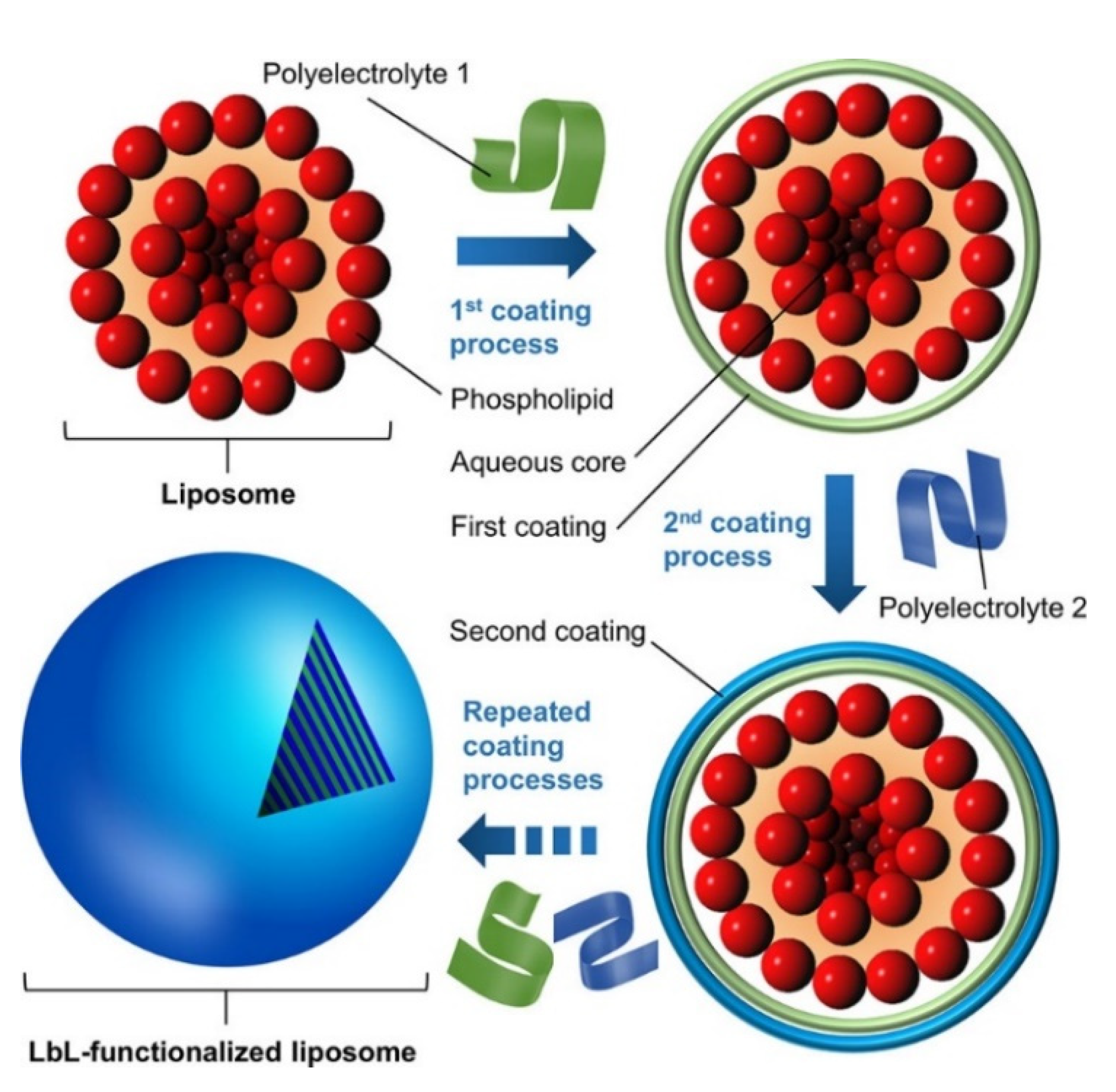 Polymers 13 01221 g007