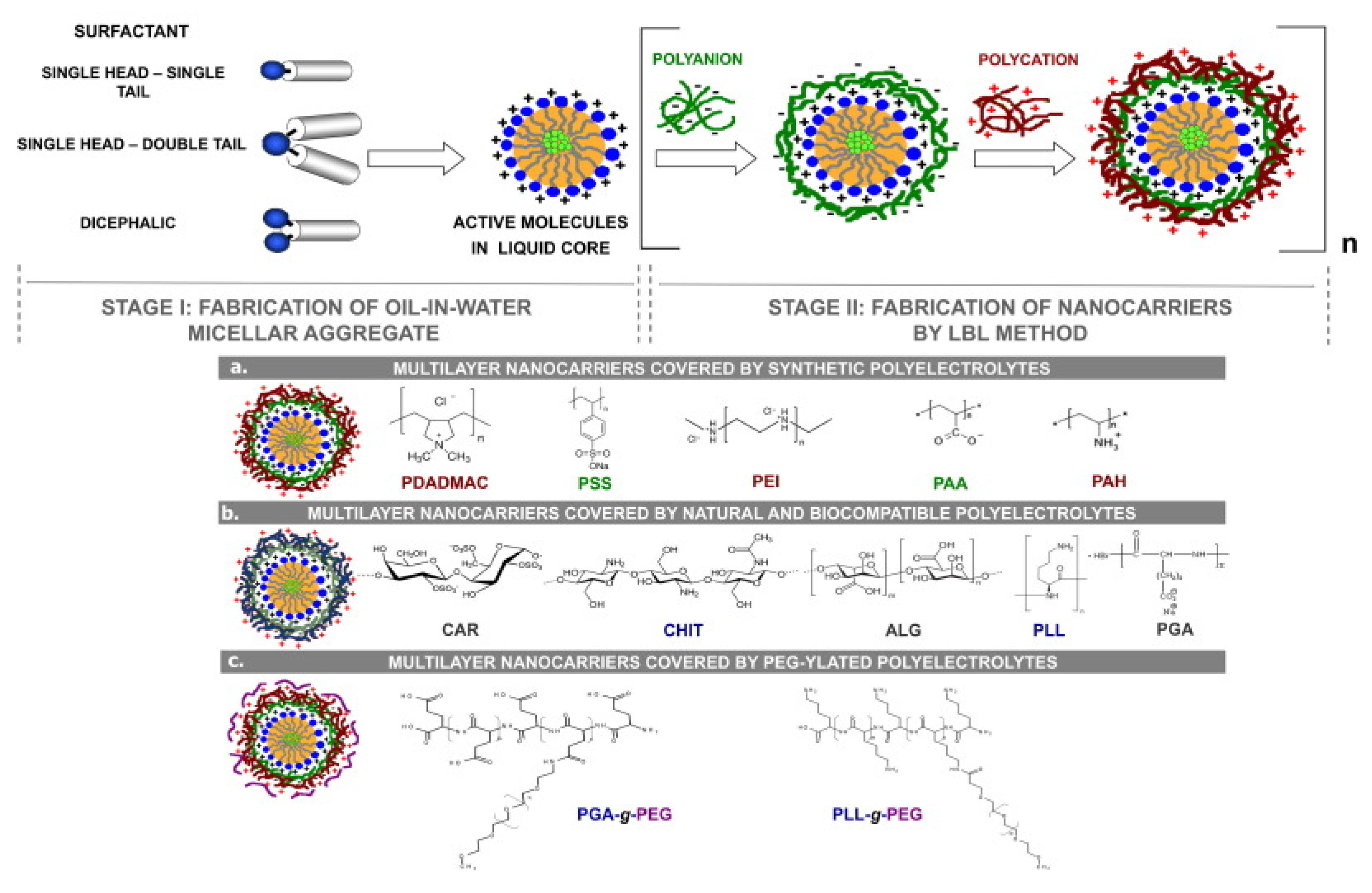 Polymers 13 01221 g010