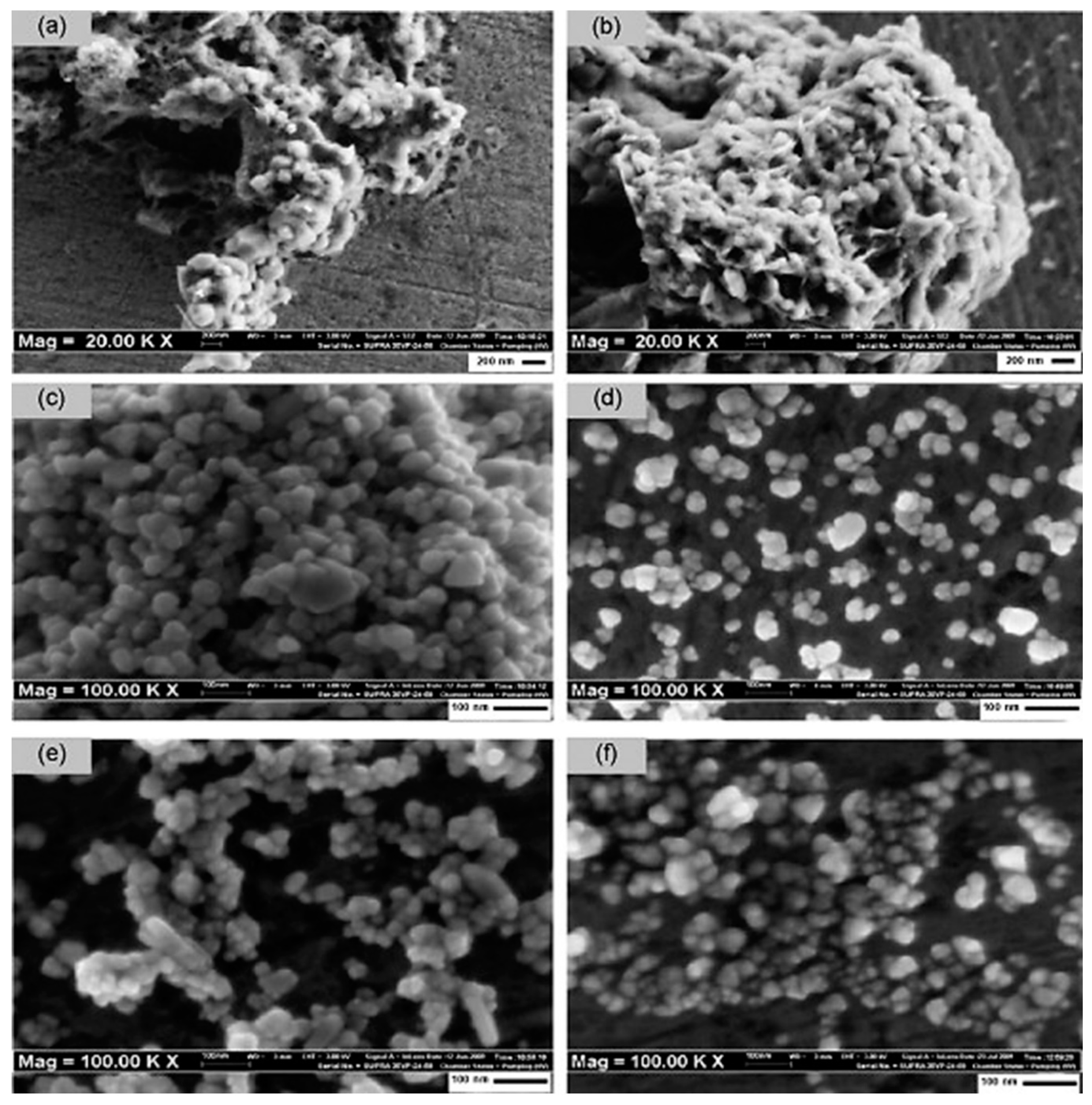 Polymers 13 01227 g008