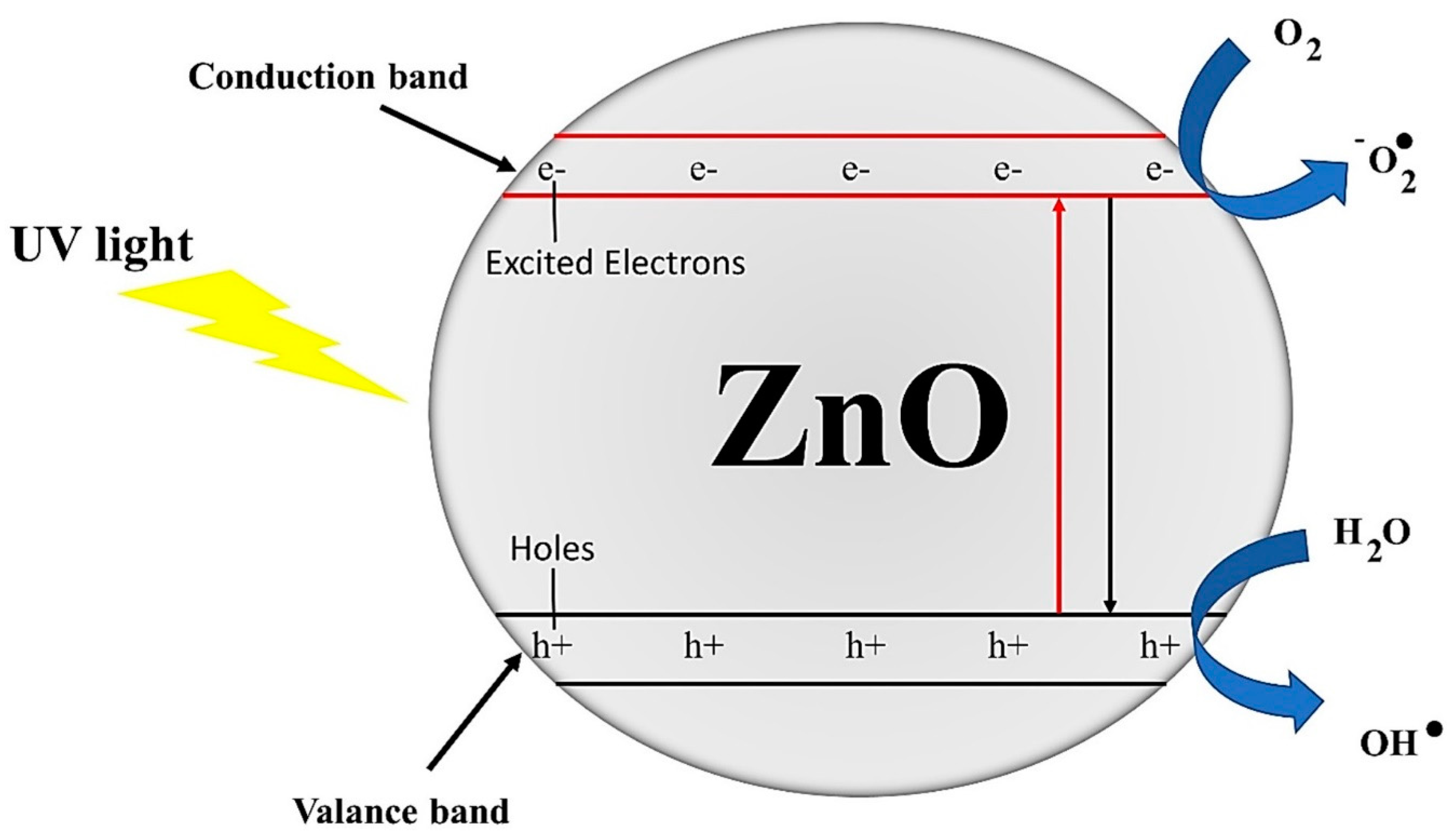Polymers 13 01227 g009