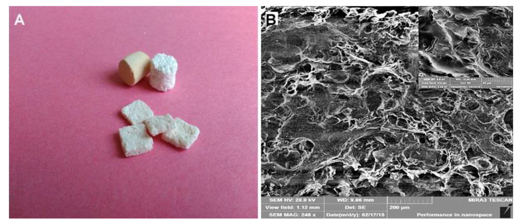Polymers 13 01232 g001 Polymers 13 01232 g001