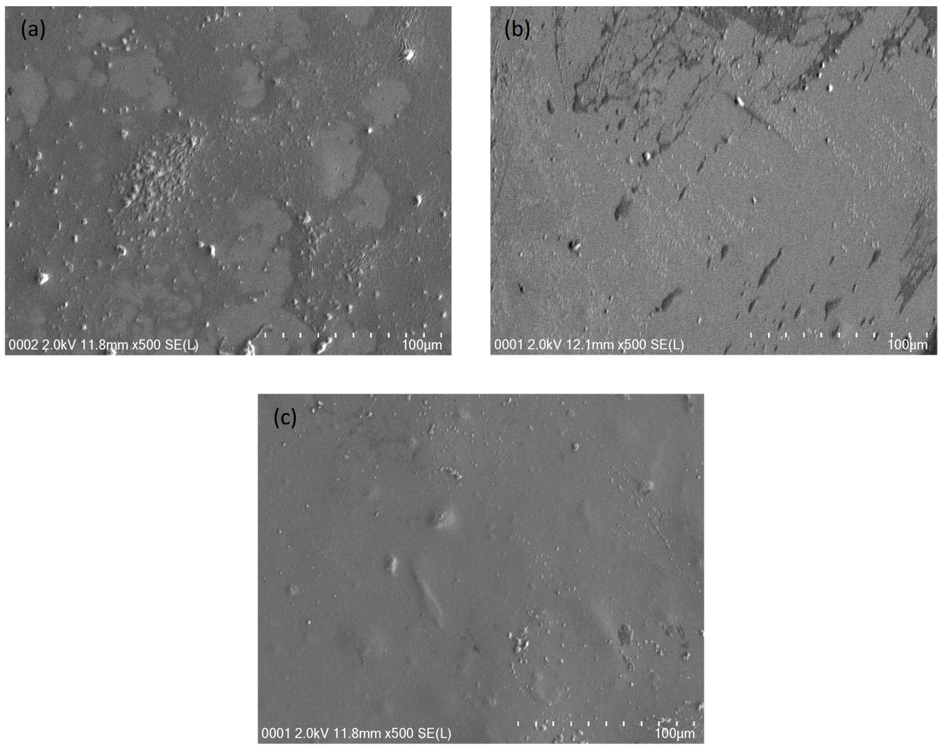 Polymers 13 01233 g004