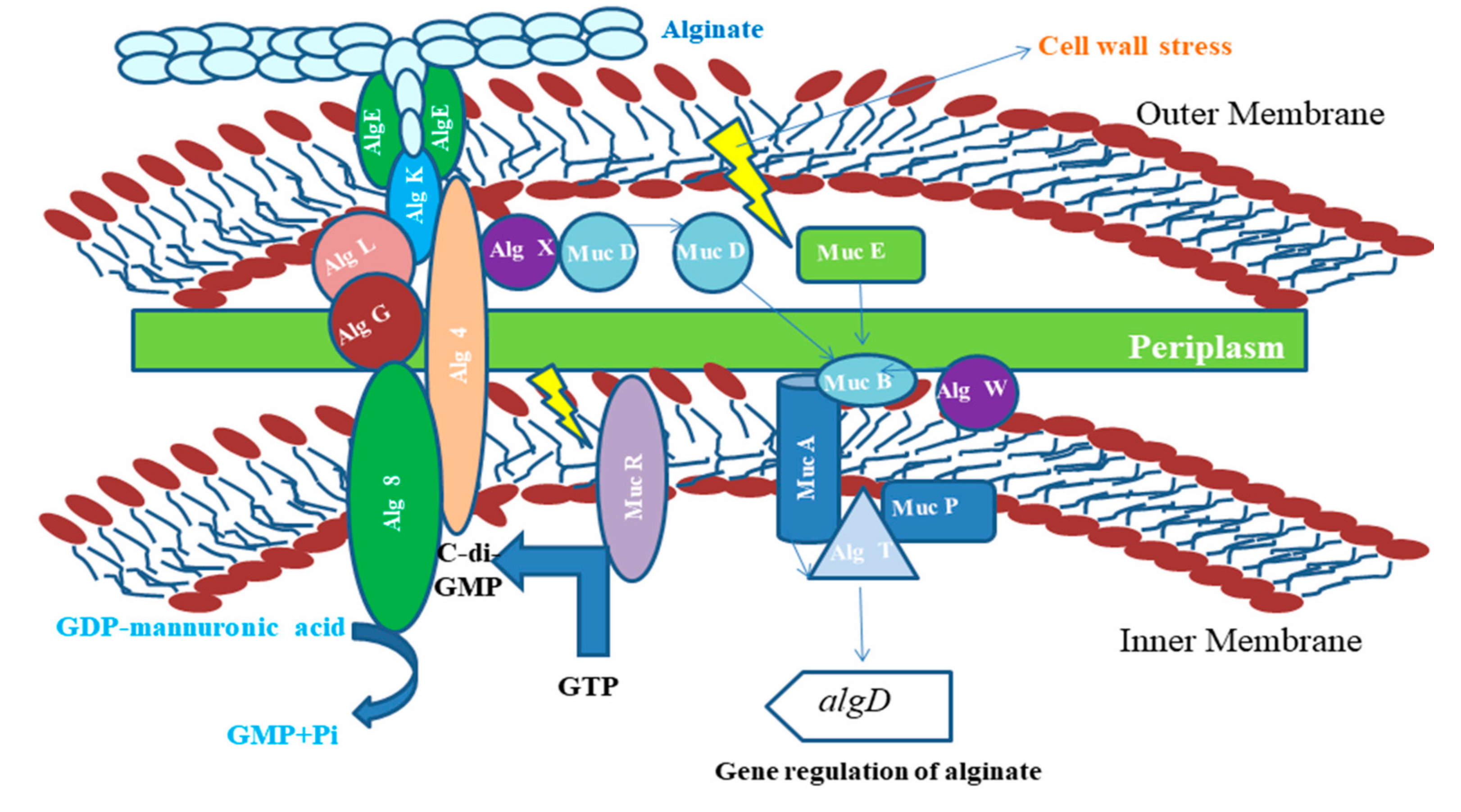 Polymers 13 01242 g002