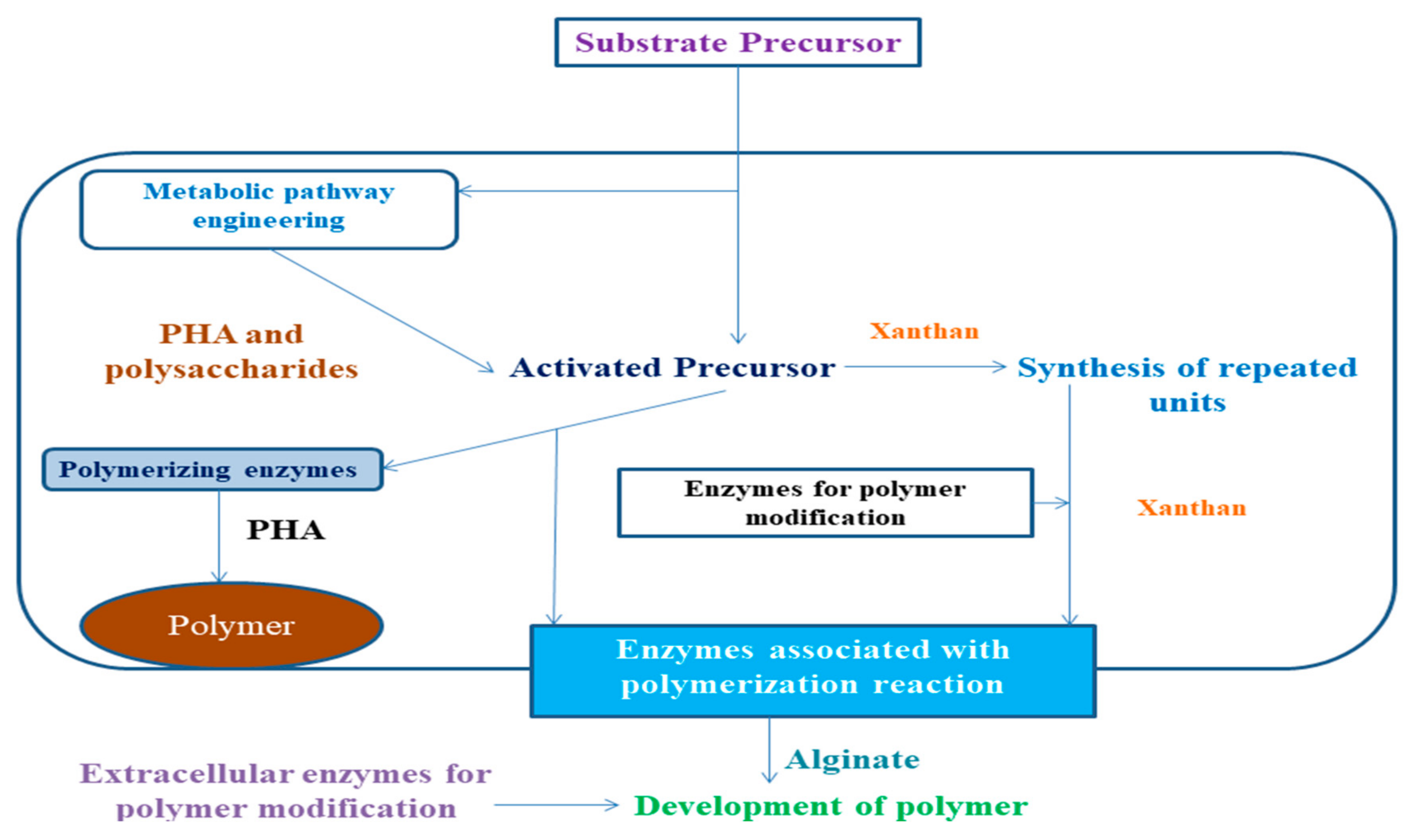 Polymers 13 01242 g003